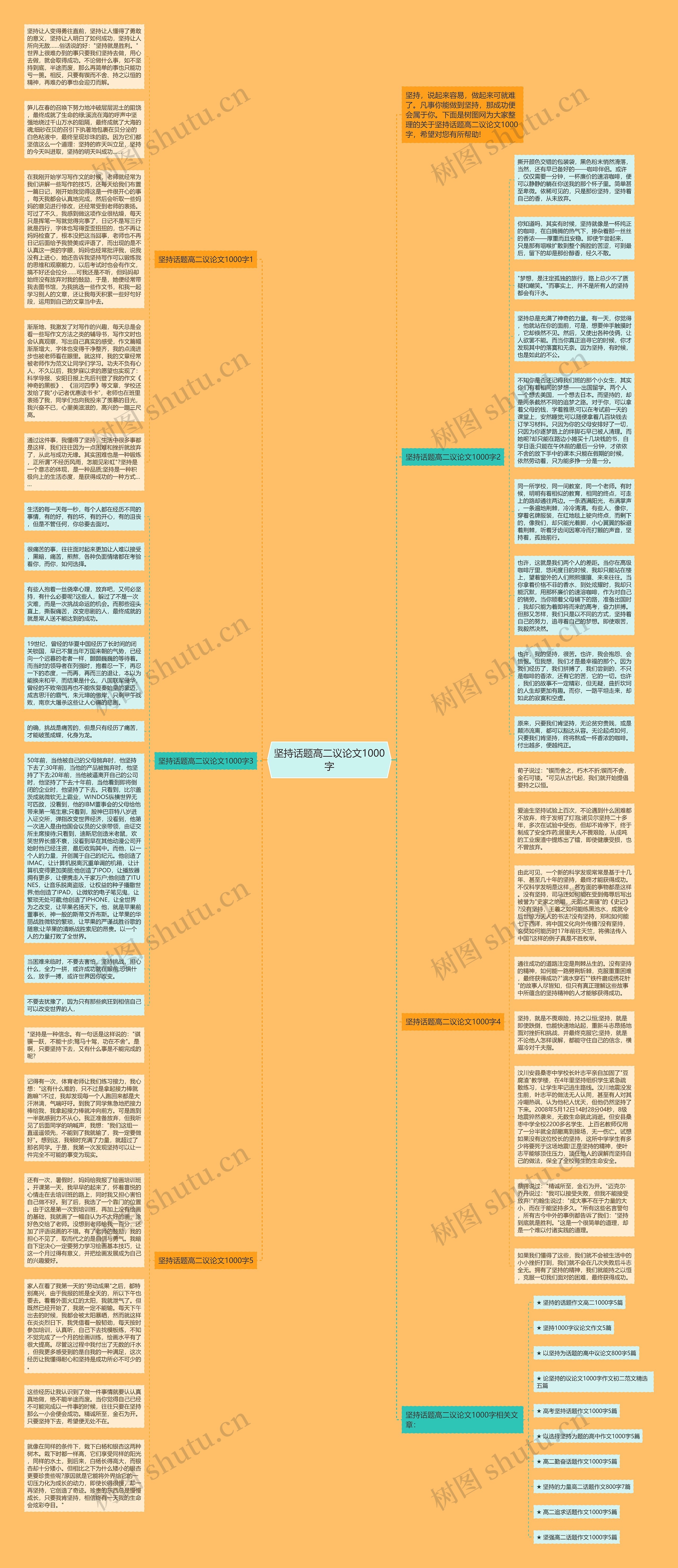 坚持话题高二议论文1000字思维导图