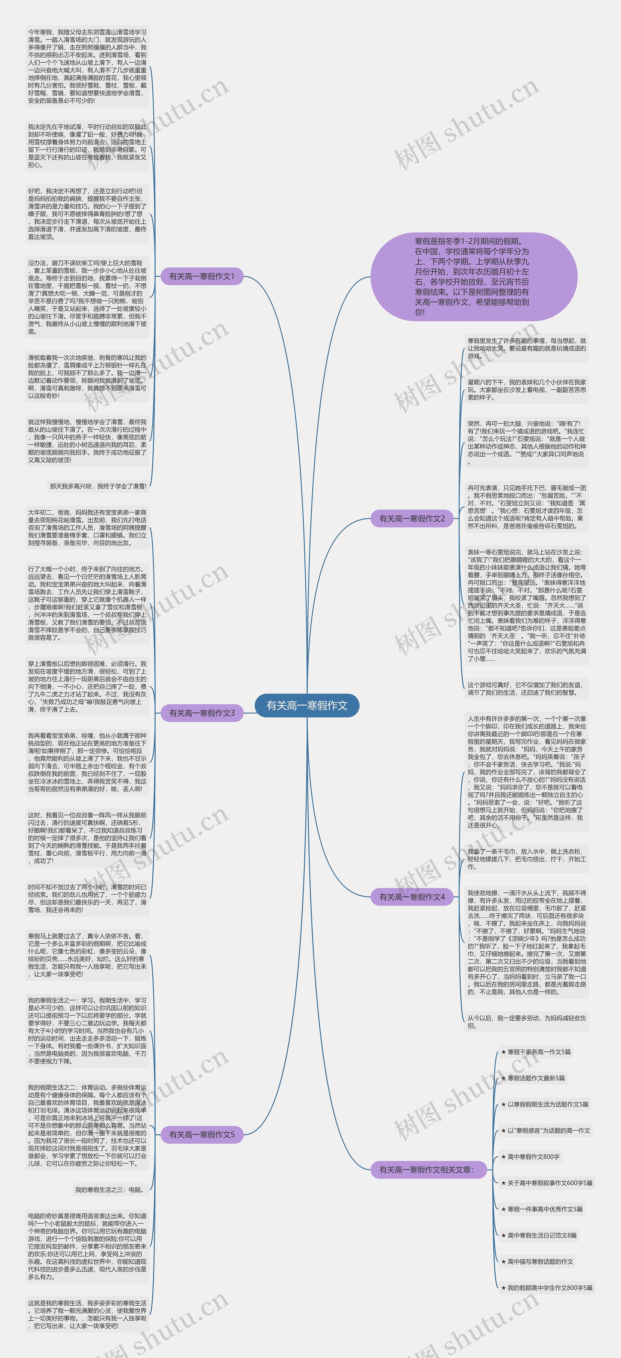 有关高一寒假作文思维导图