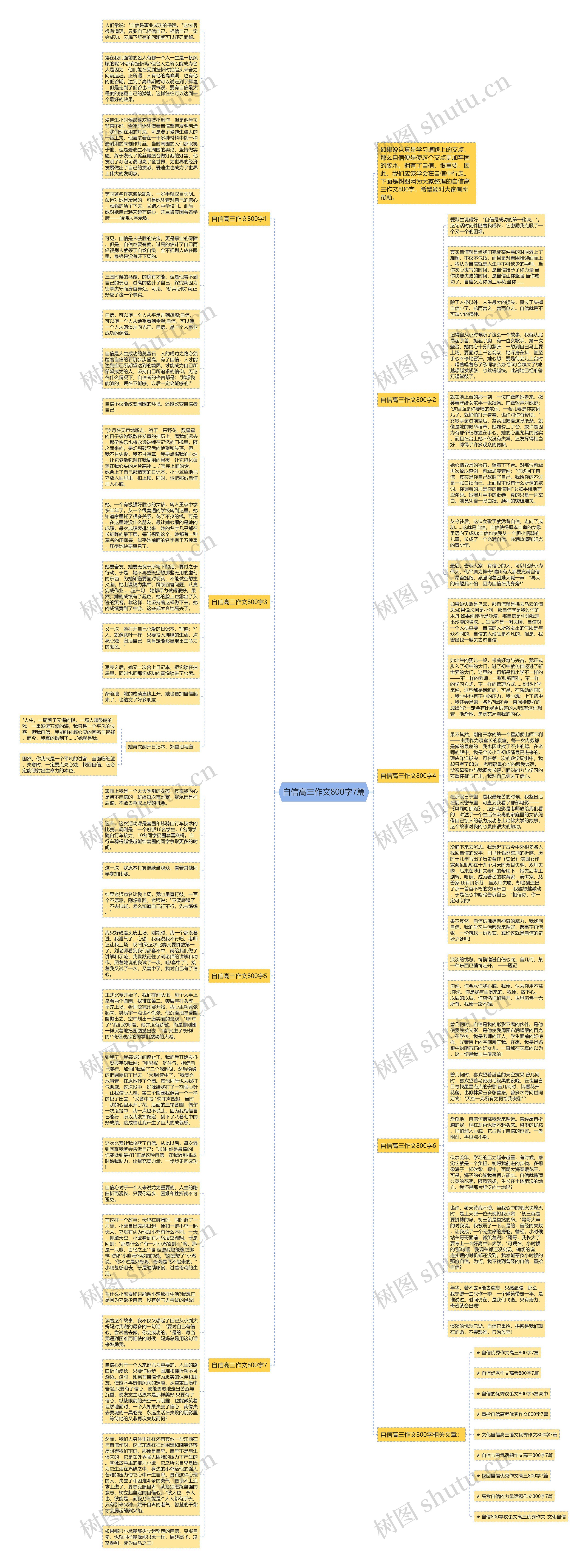 自信高三作文800字7篇思维导图