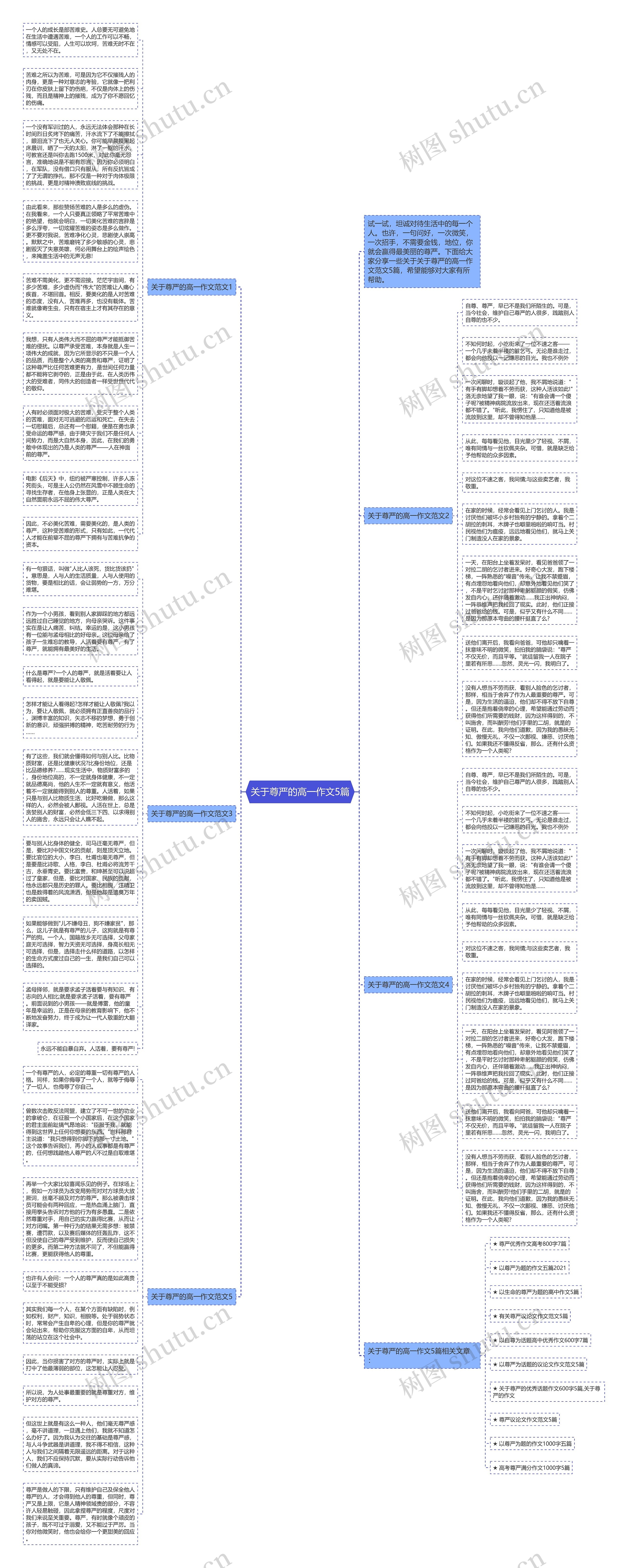 关于尊严的高一作文5篇思维导图