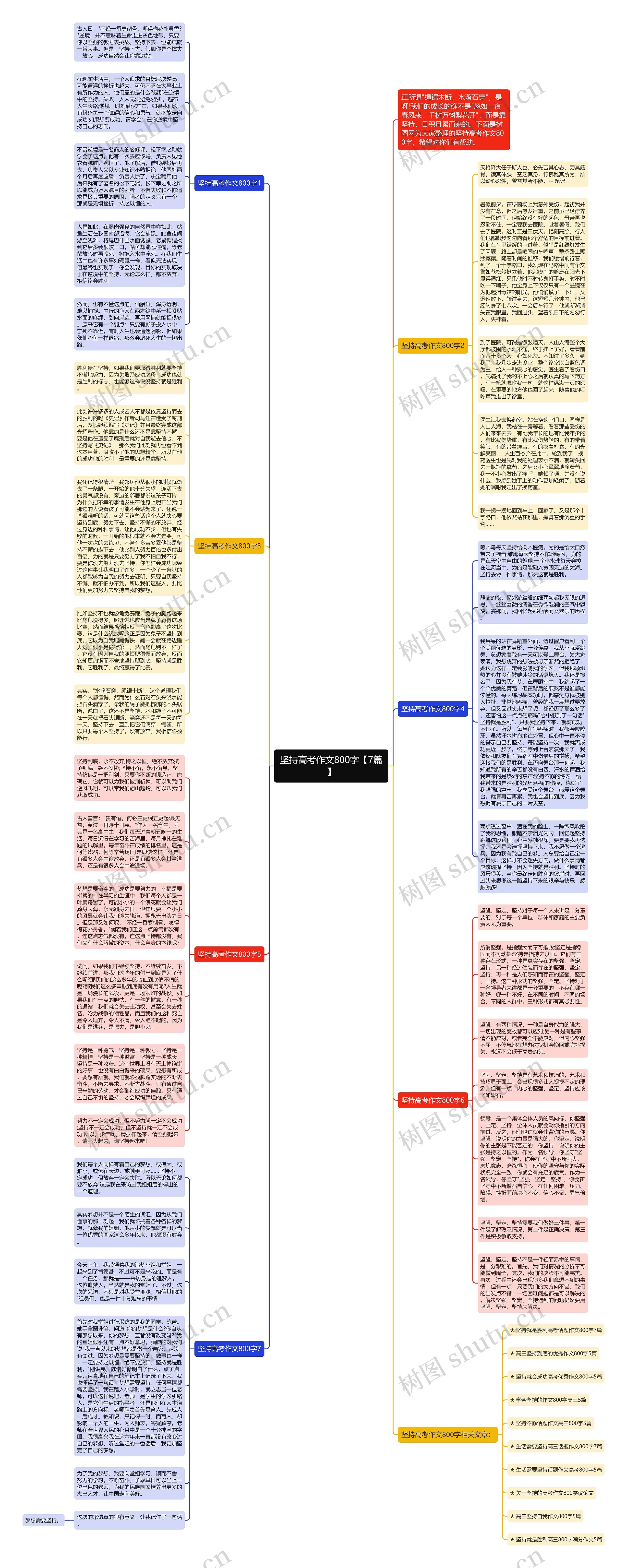 坚持高考作文800字【7篇】思维导图