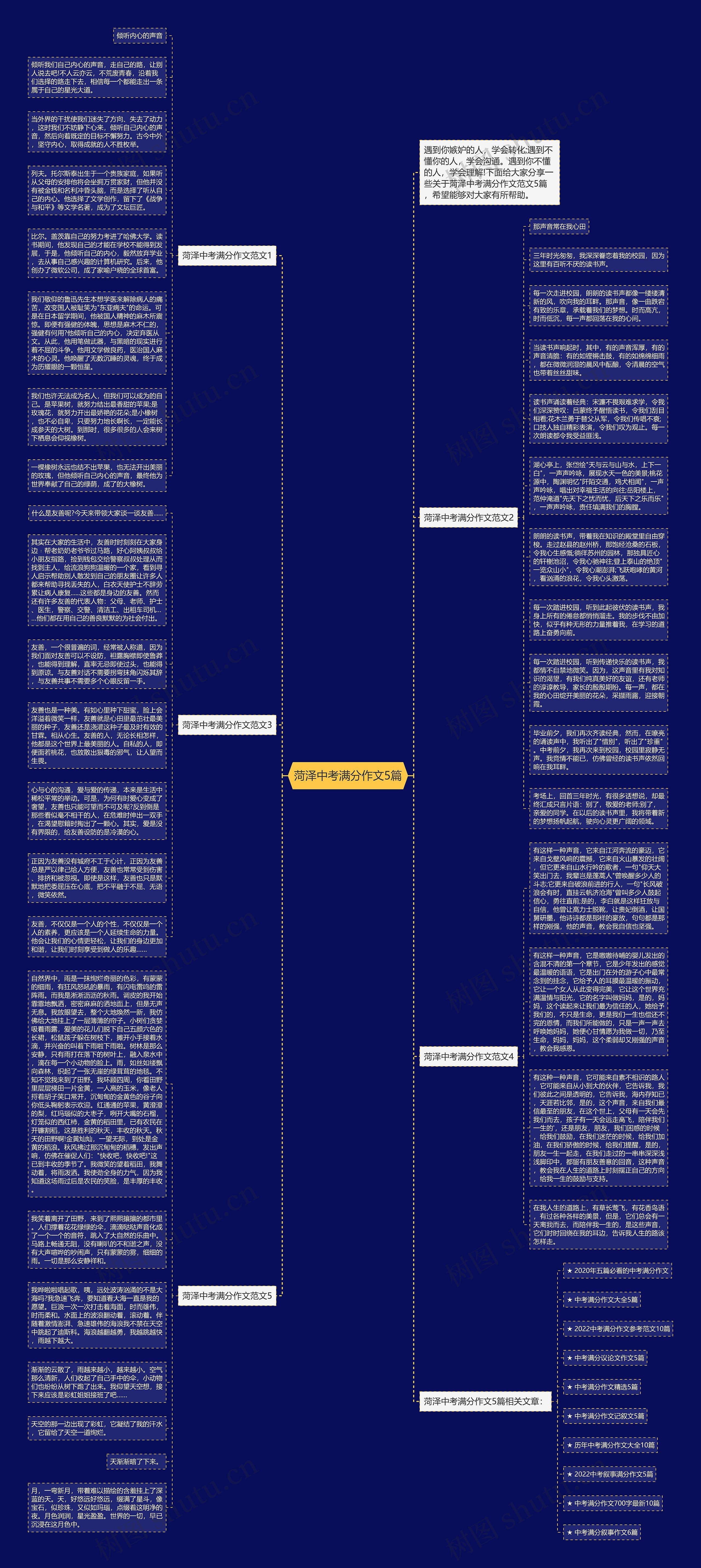 菏泽中考满分作文5篇思维导图