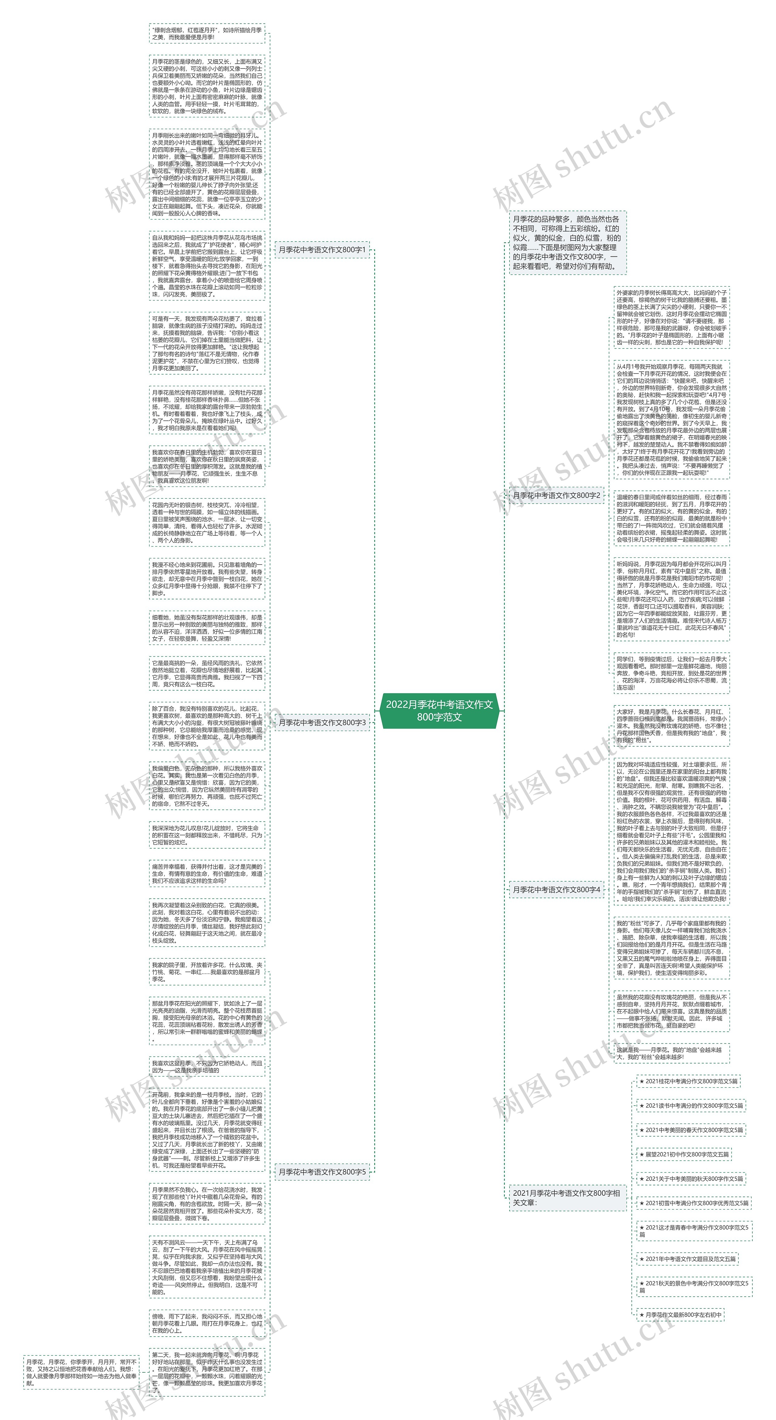 2022月季花中考语文作文800字范文思维导图