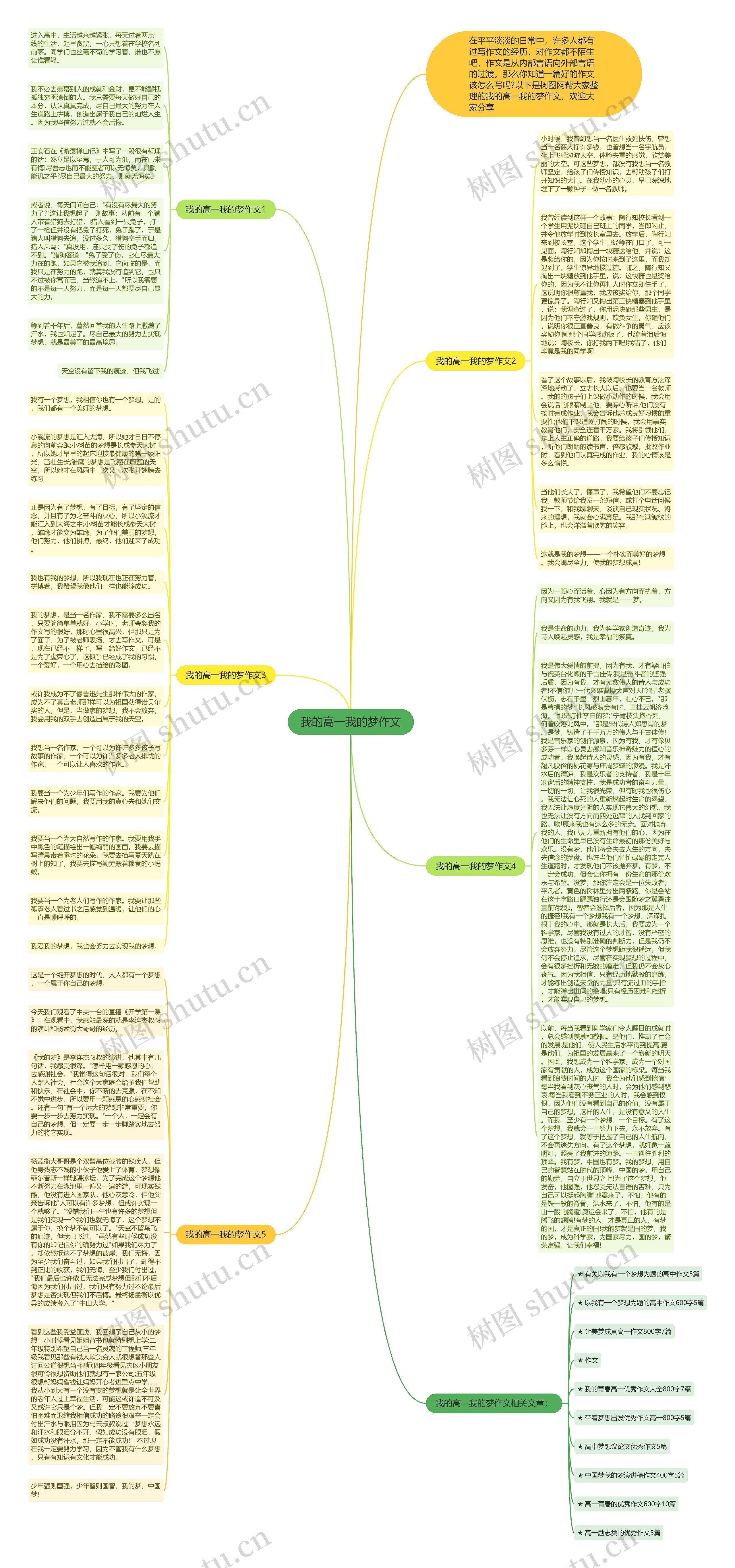 我的高一我的梦作文思维导图