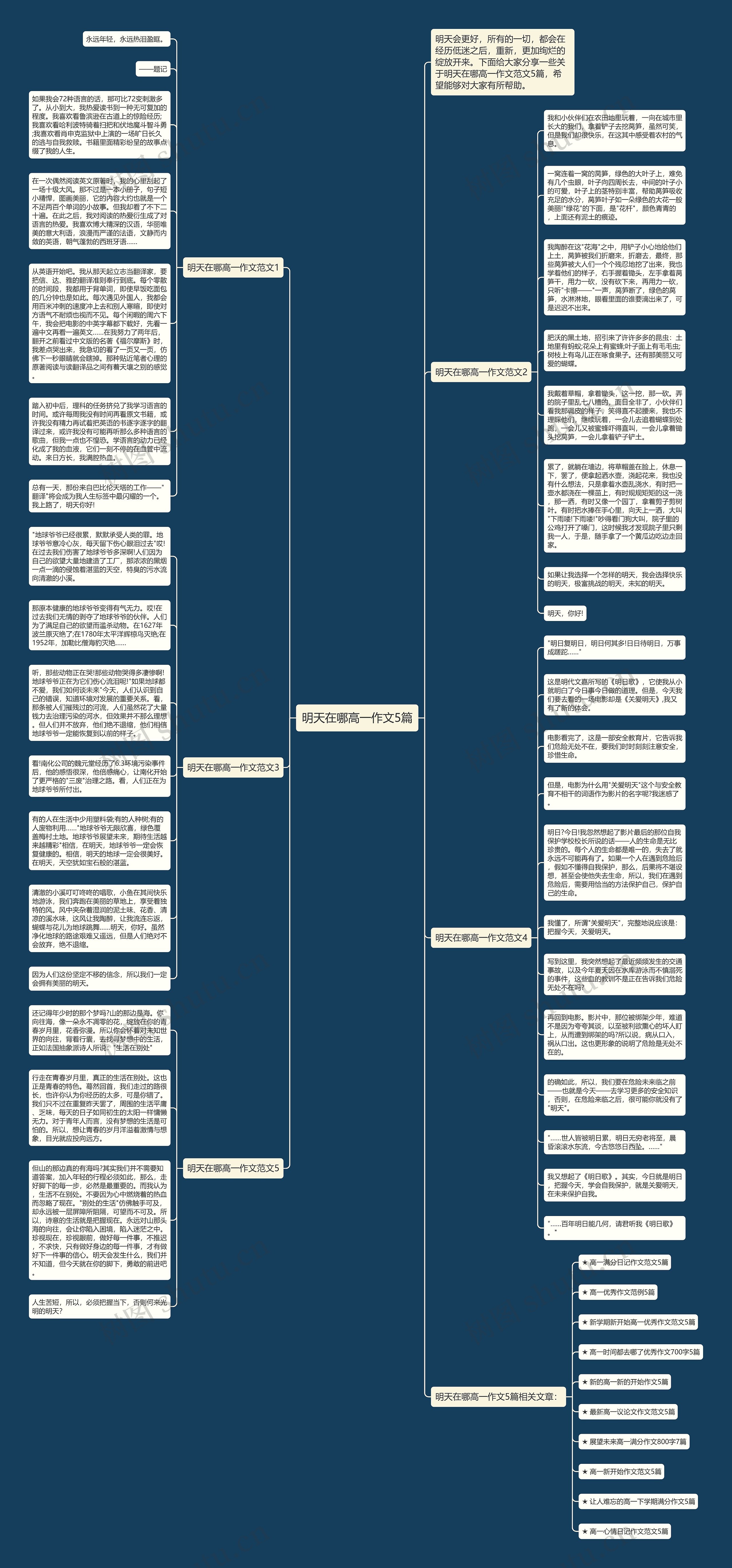 明天在哪高一作文5篇思维导图