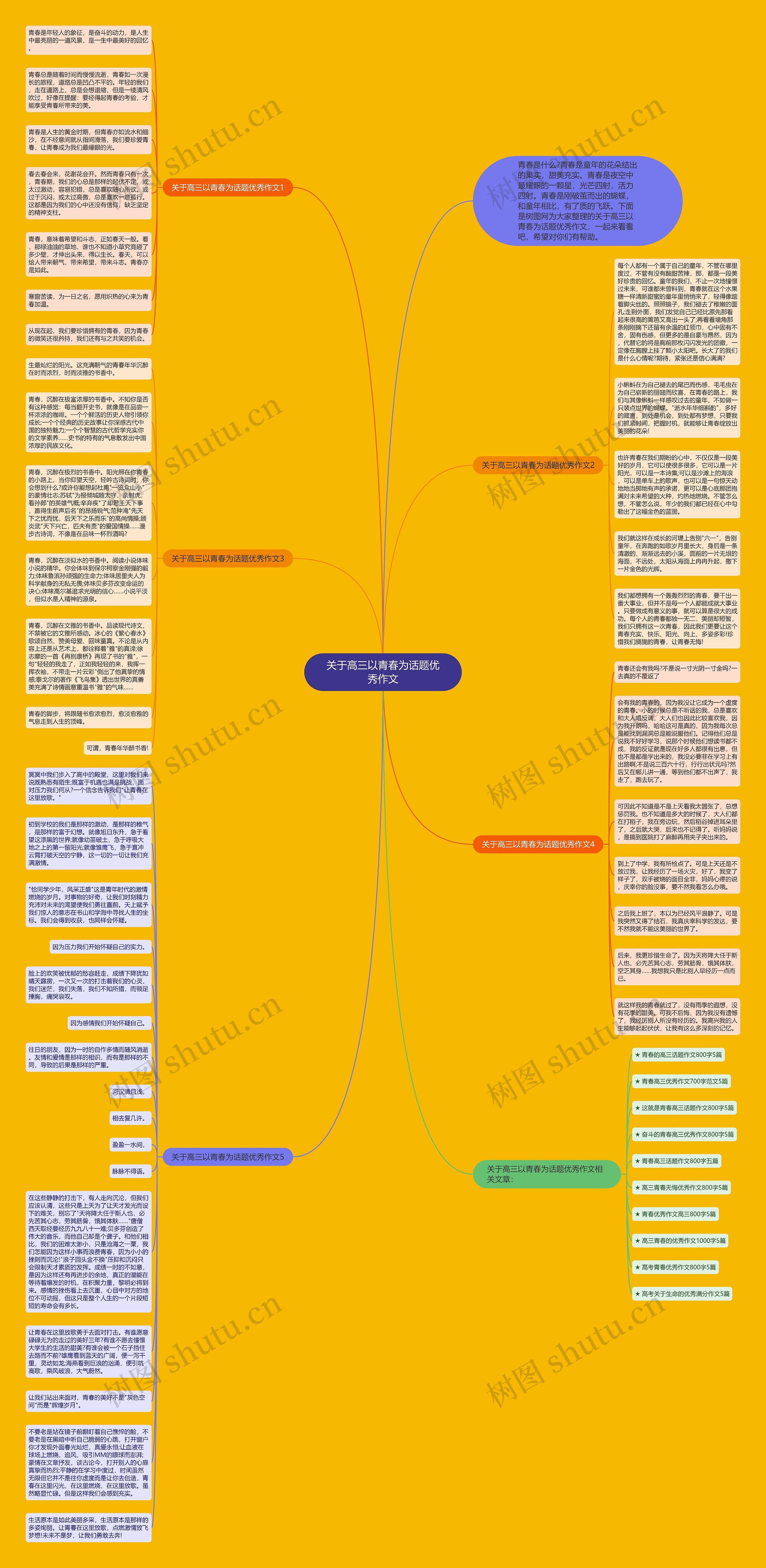 关于高三以青春为话题优秀作文思维导图