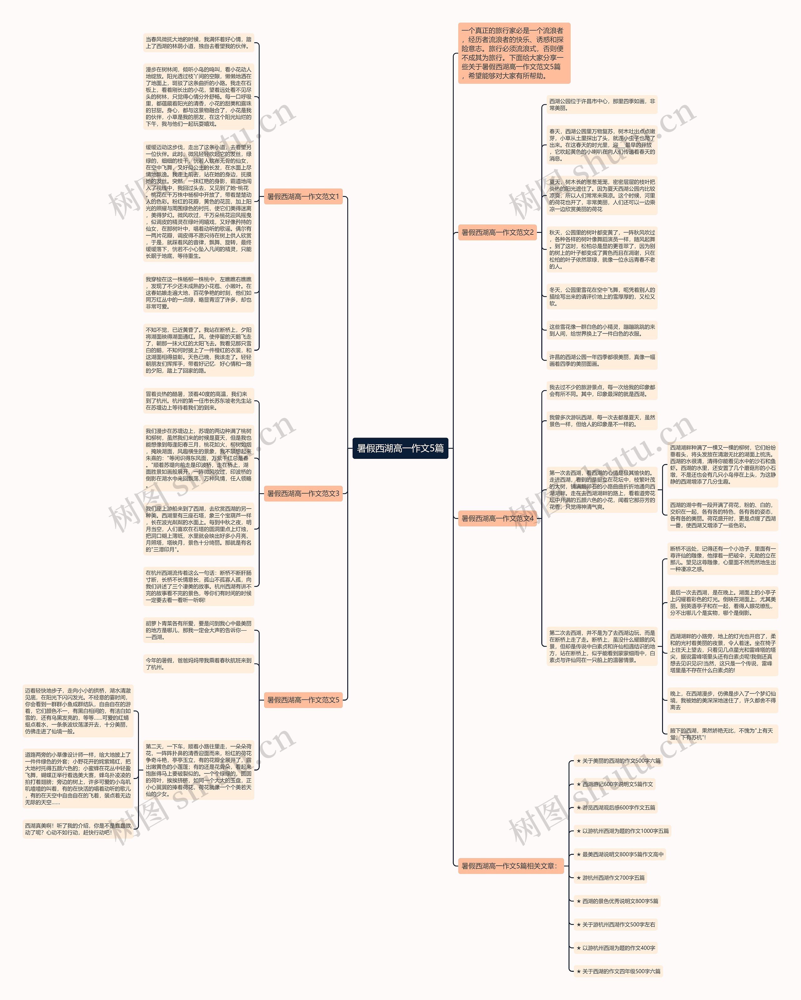 暑假西湖高一作文5篇思维导图