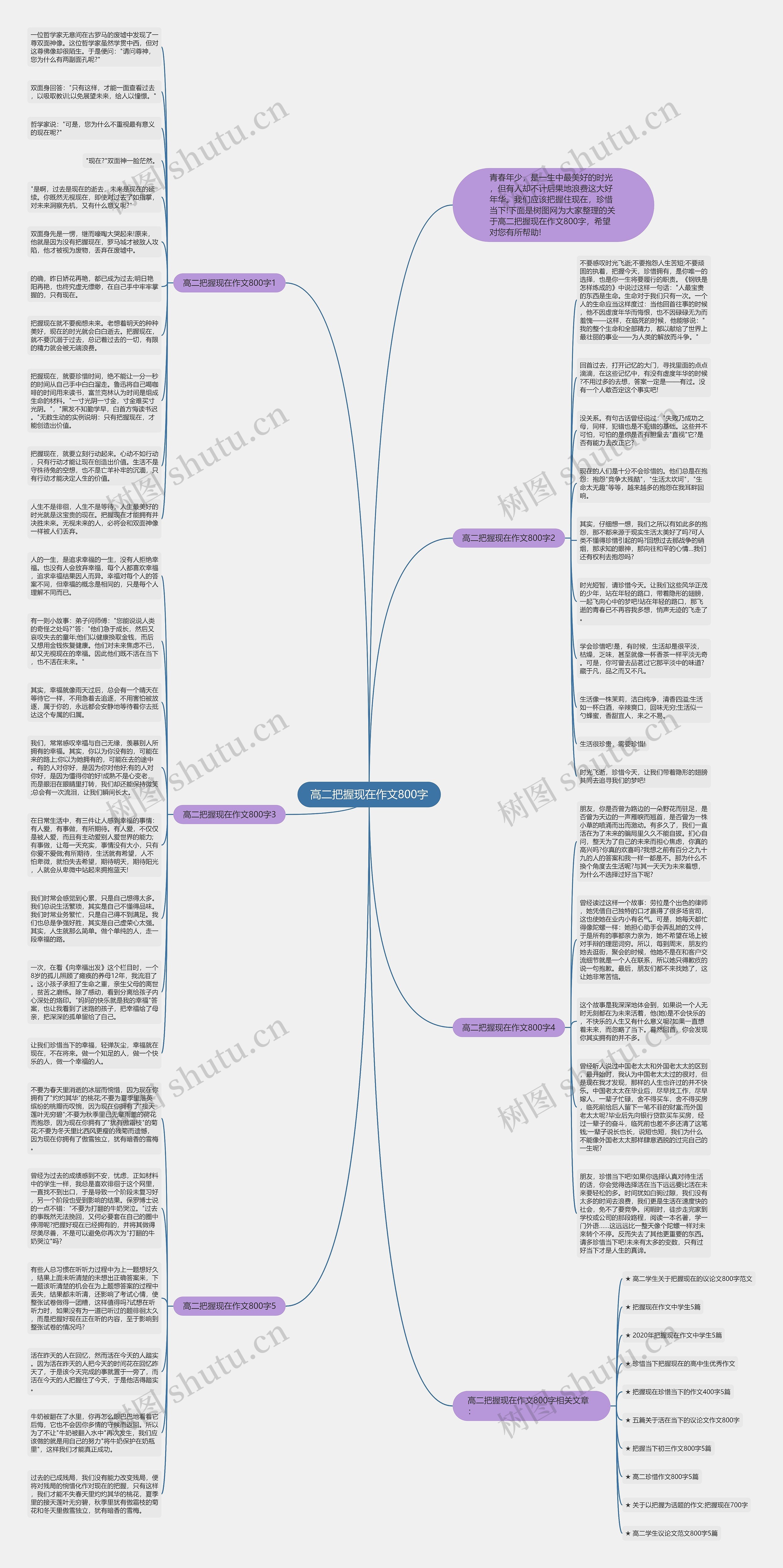 高二把握现在作文800字思维导图