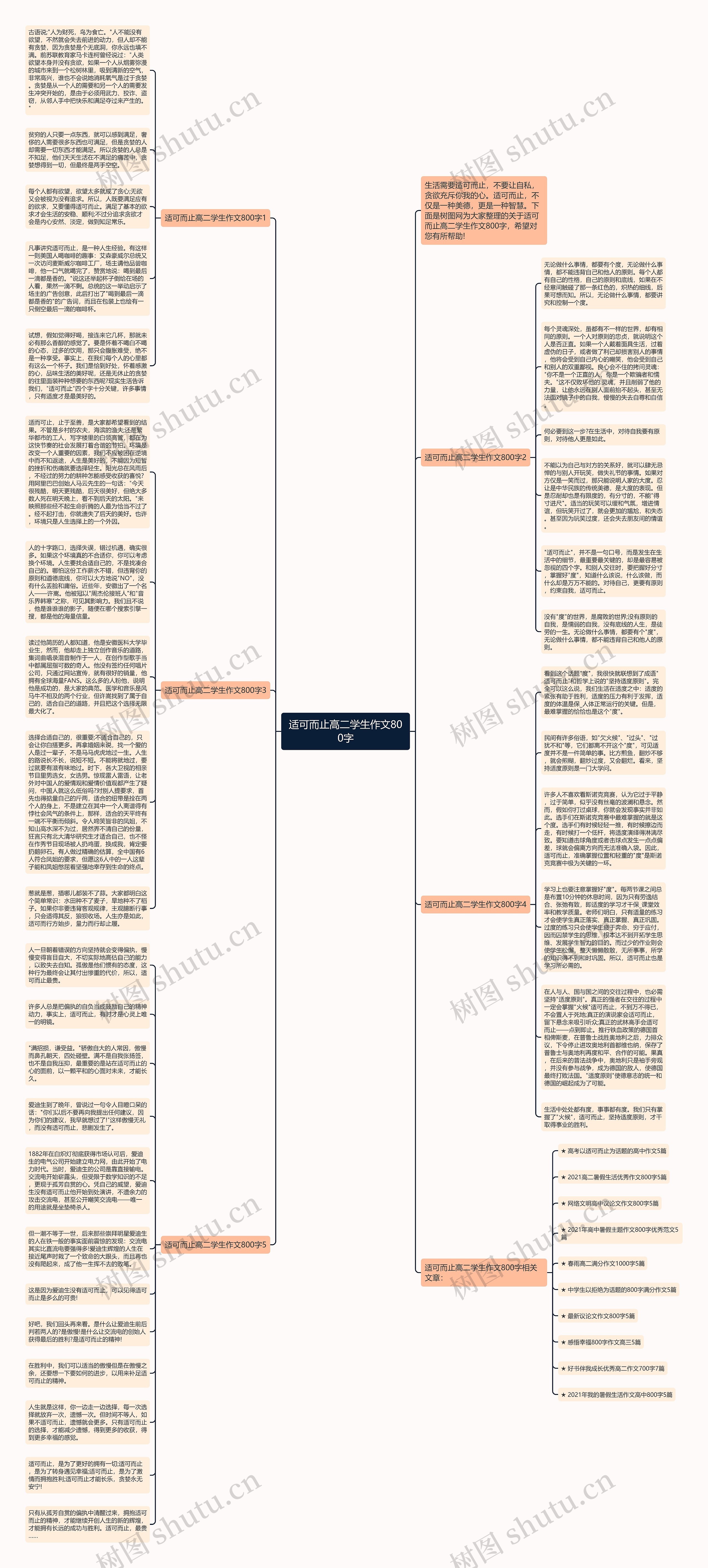 适可而止高二学生作文800字思维导图