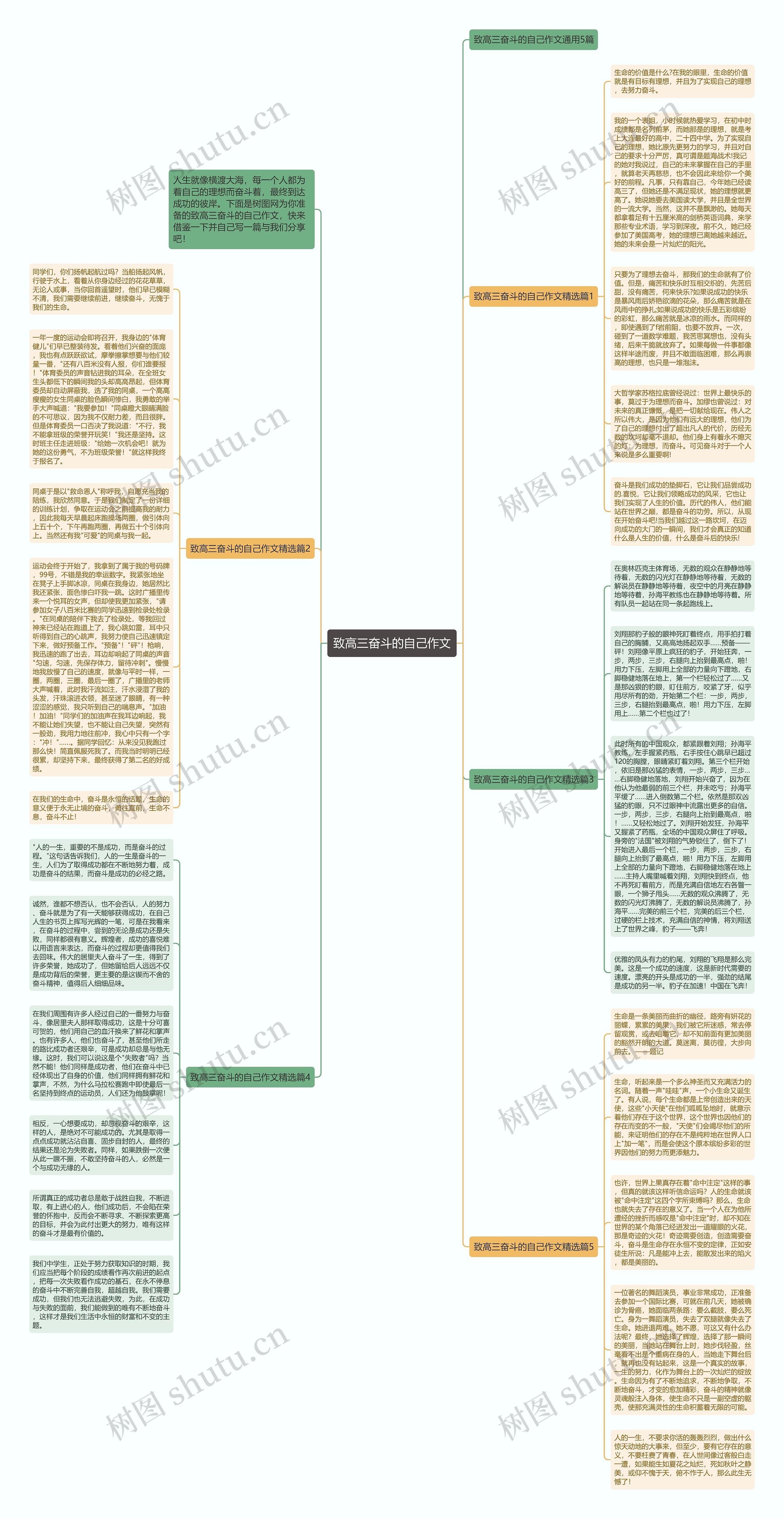 致高三奋斗的自己作文思维导图