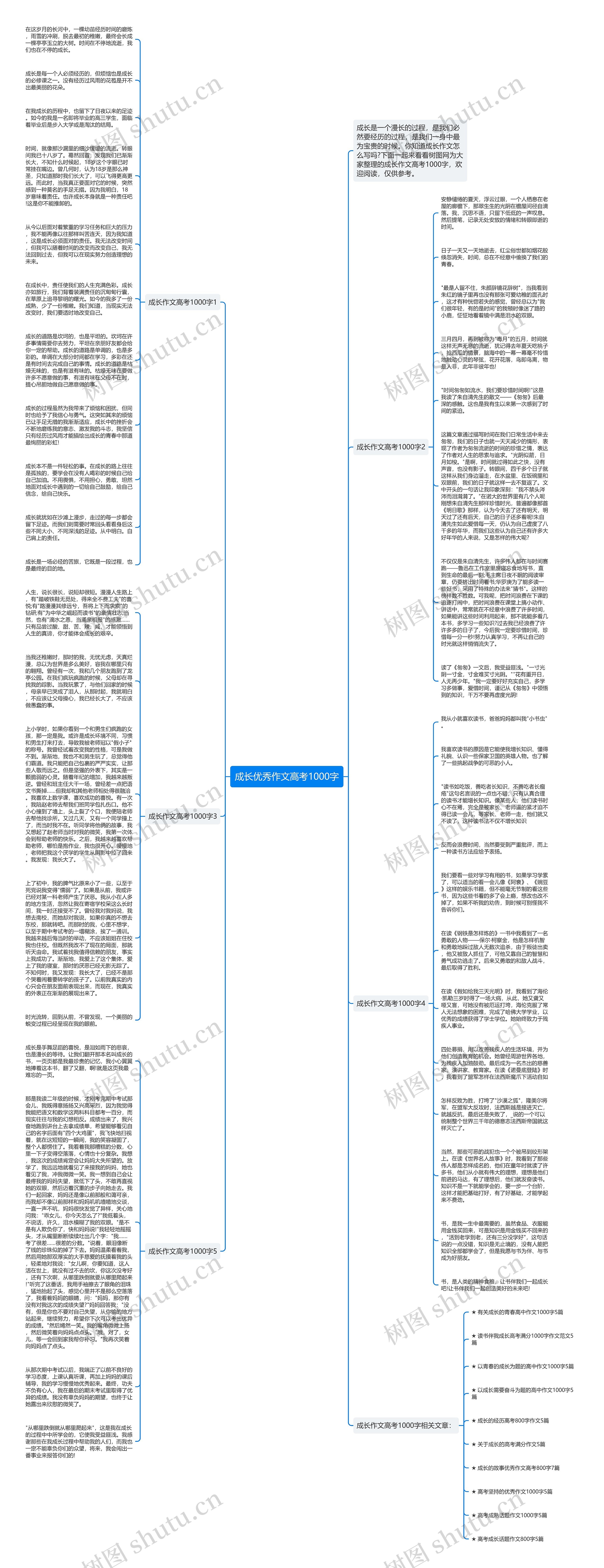 成长优秀作文高考1000字思维导图