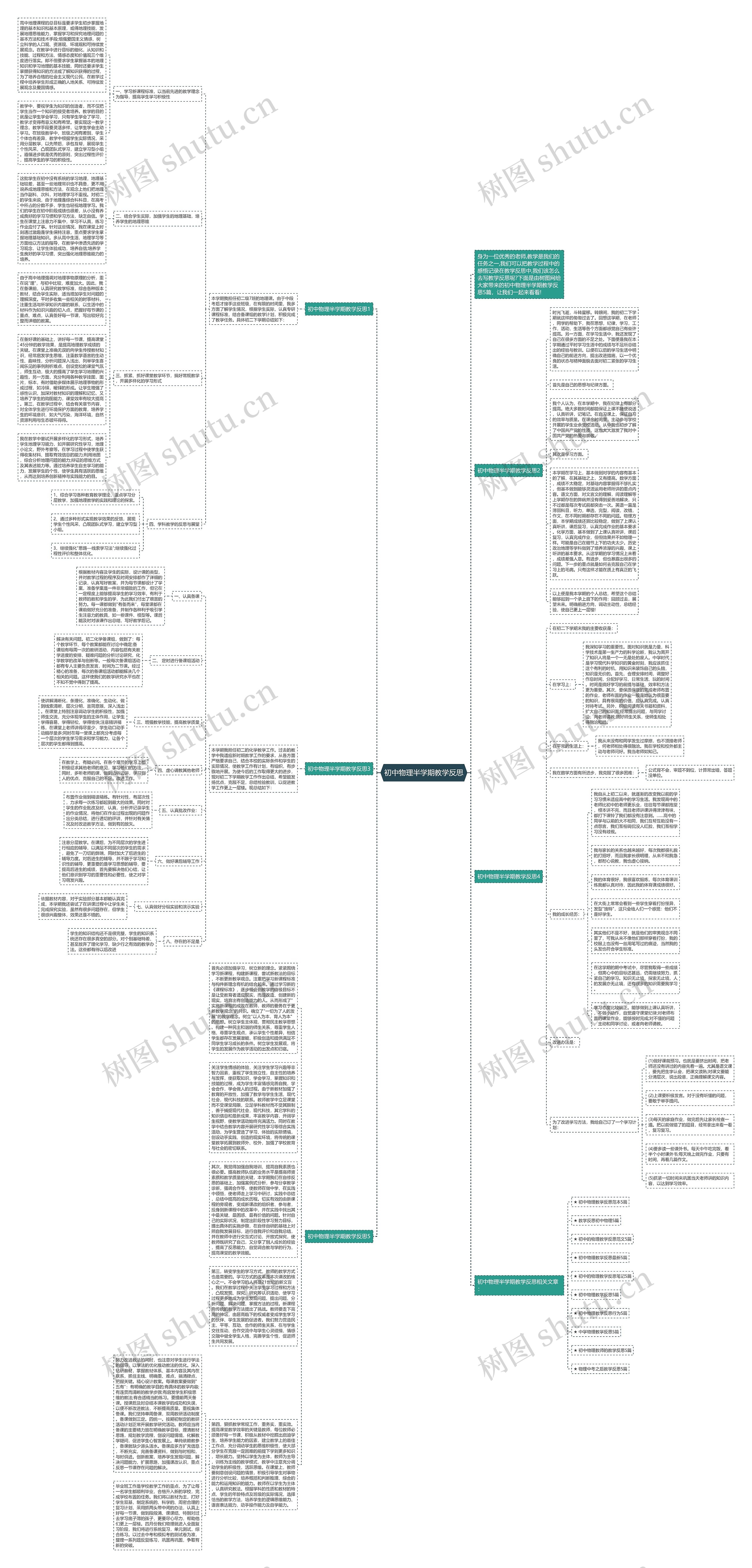 初中物理半学期教学反思思维导图