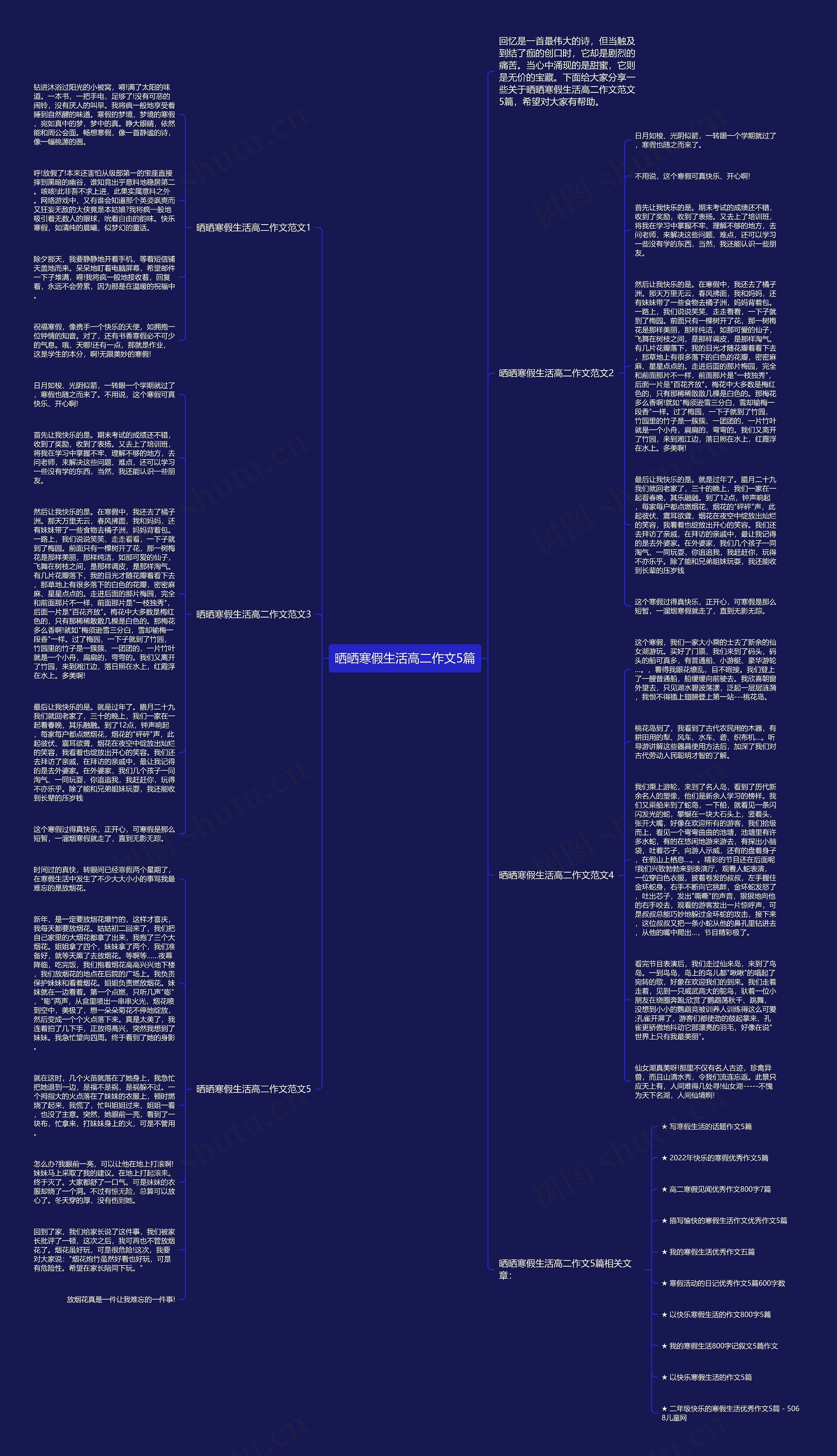 晒晒寒假生活高二作文5篇思维导图