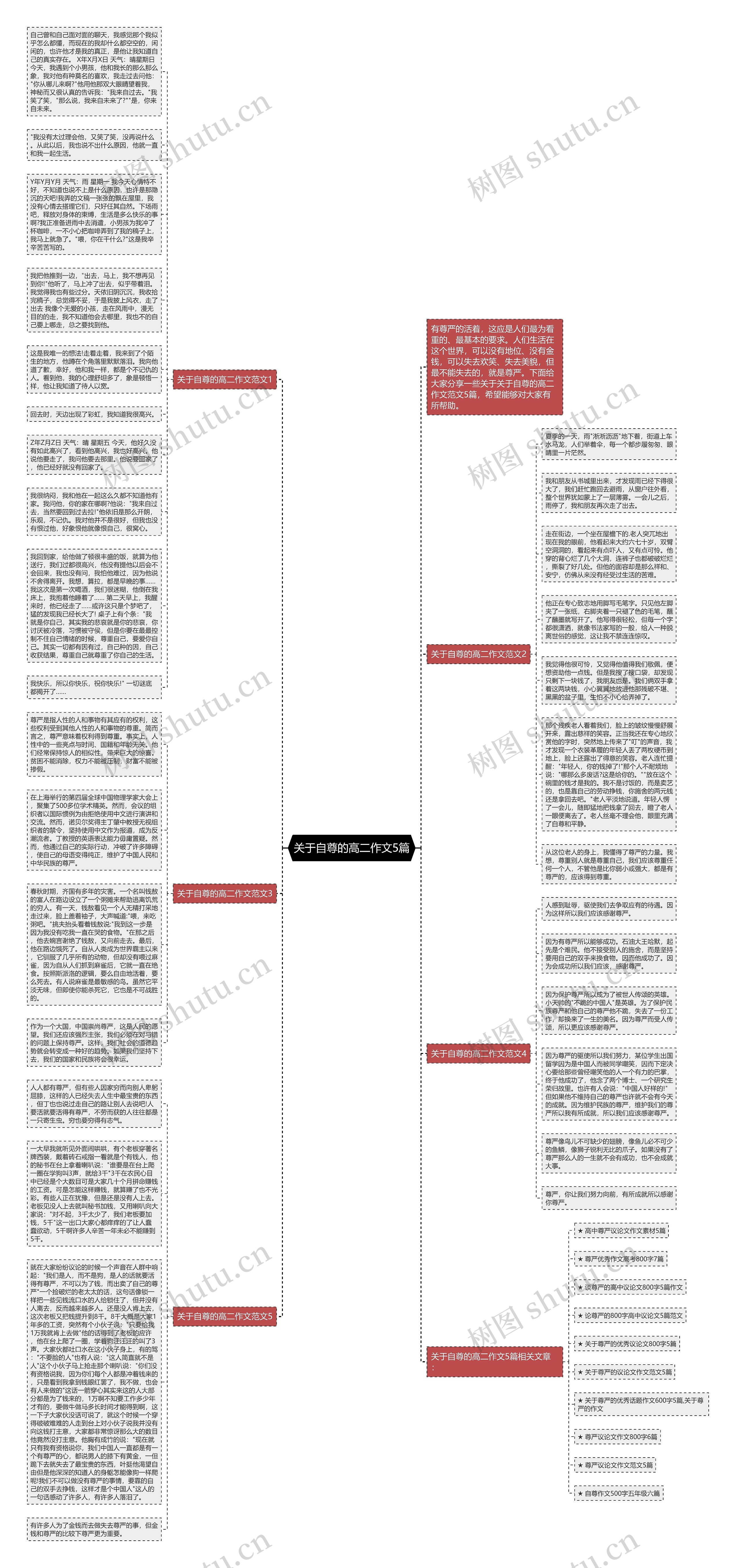 关于自尊的高二作文5篇思维导图