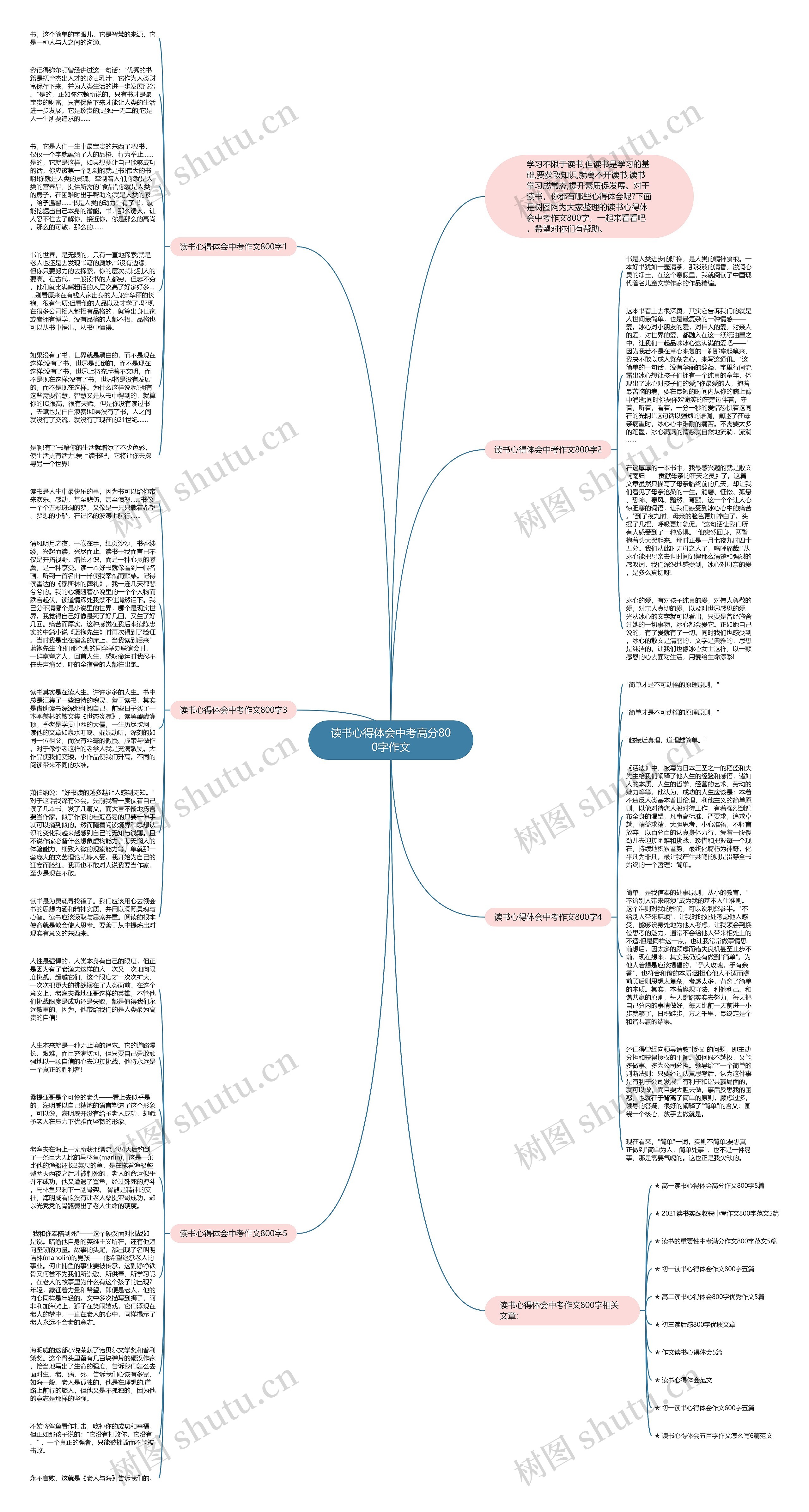 读书心得体会中考高分800字作文思维导图