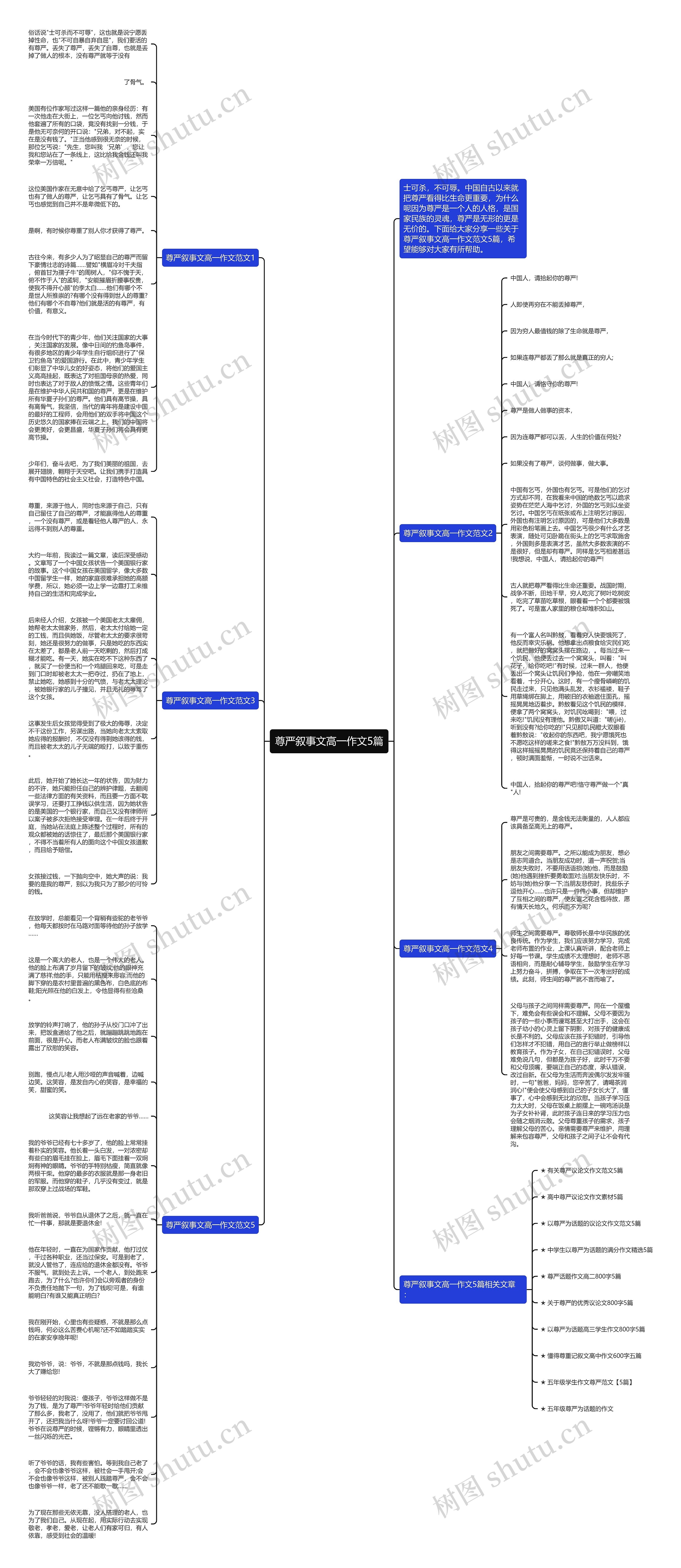 尊严叙事文高一作文5篇思维导图