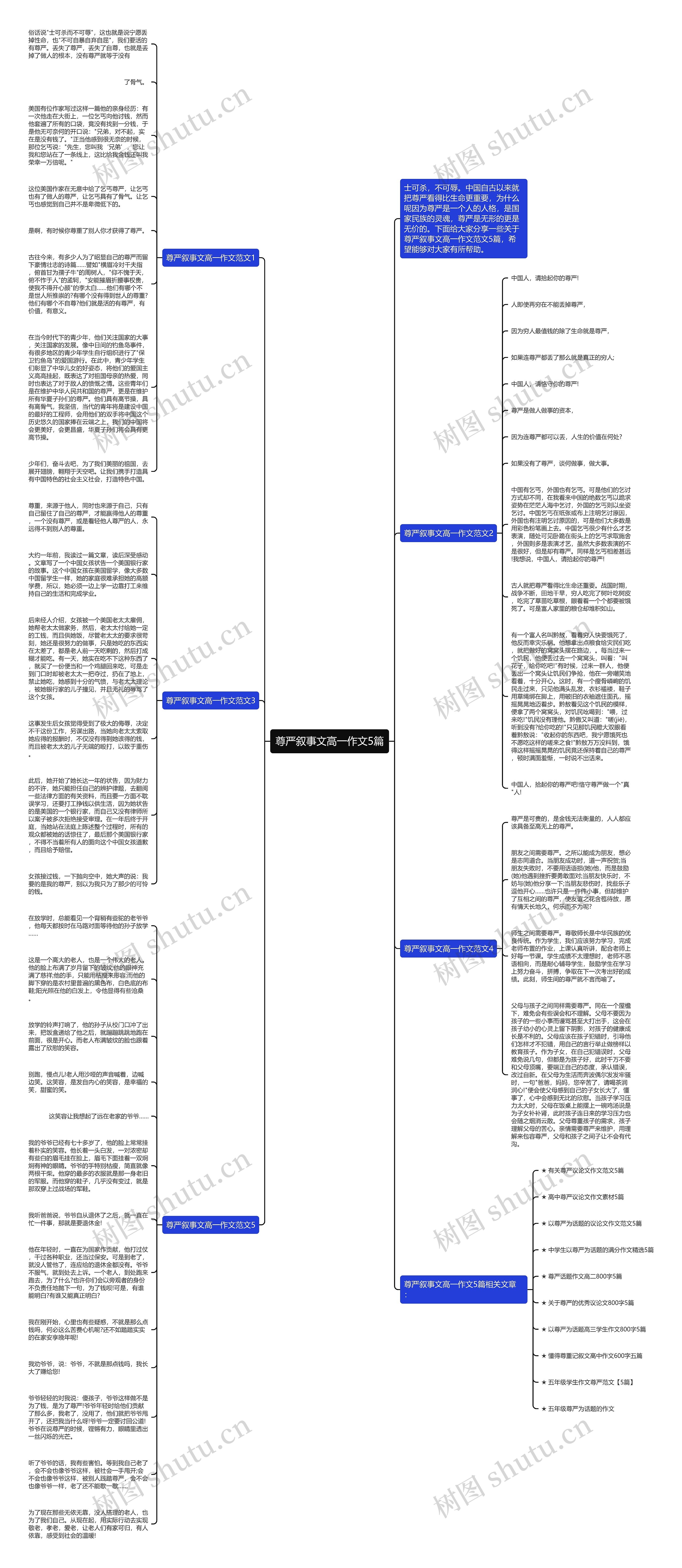 尊严叙事文高一作文5篇思维导图高清图 尊严叙事文高一作文5篇思维导图