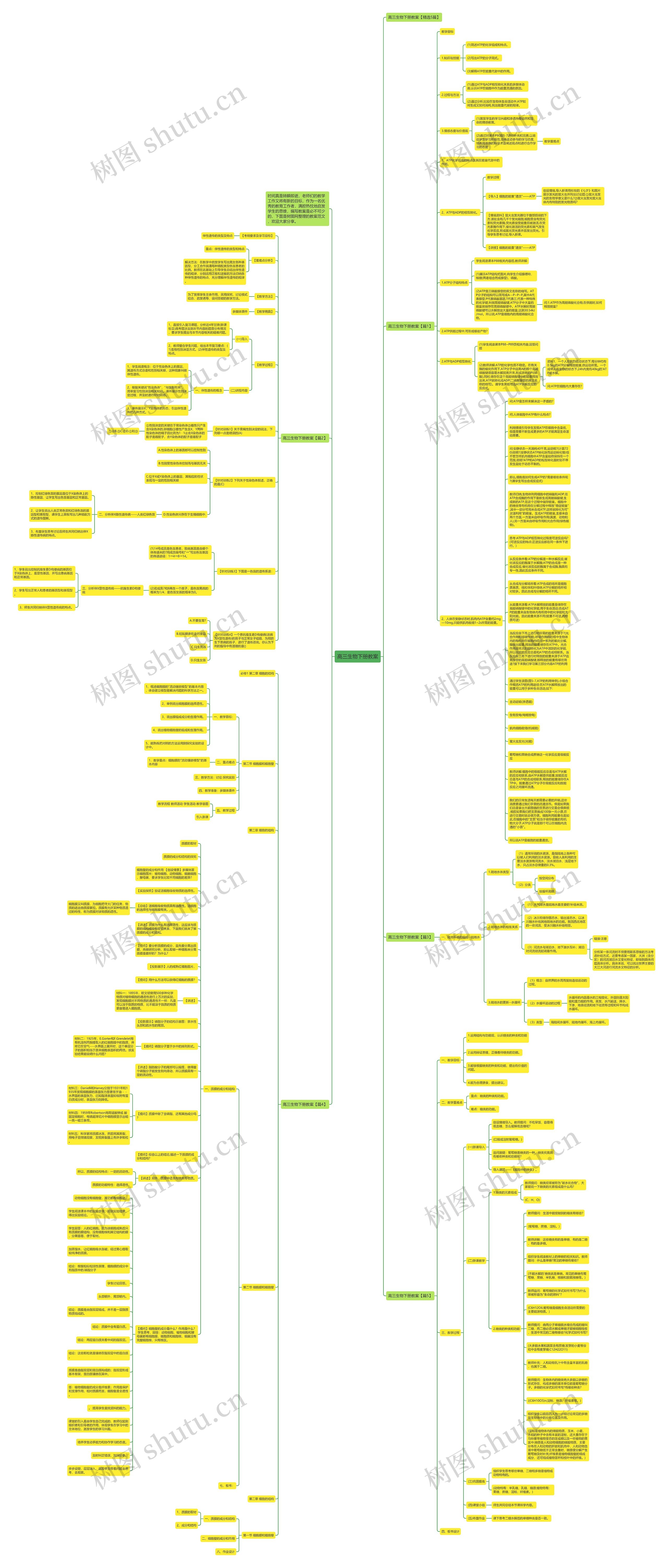 高三生物下册教案思维导图