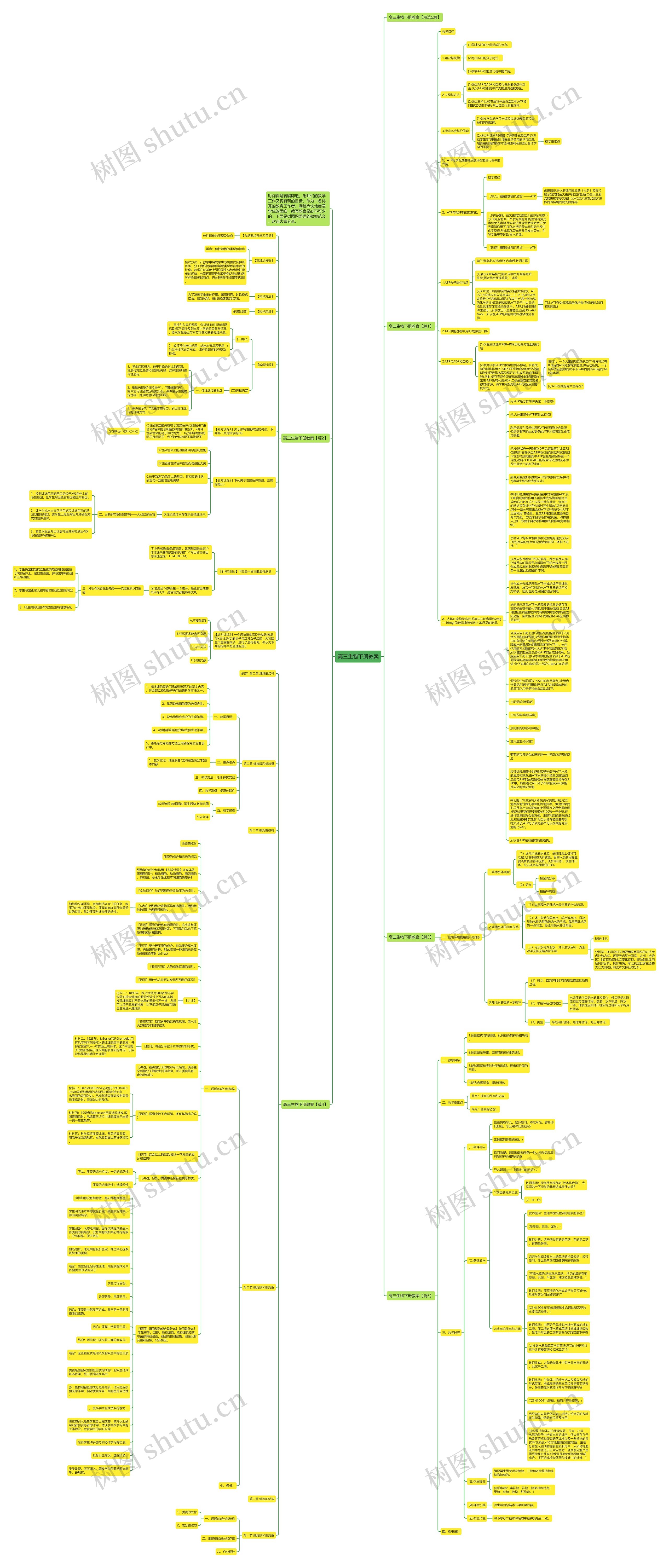 高三生物下册教案思维导图高清图 高三生物下册教案思维导图