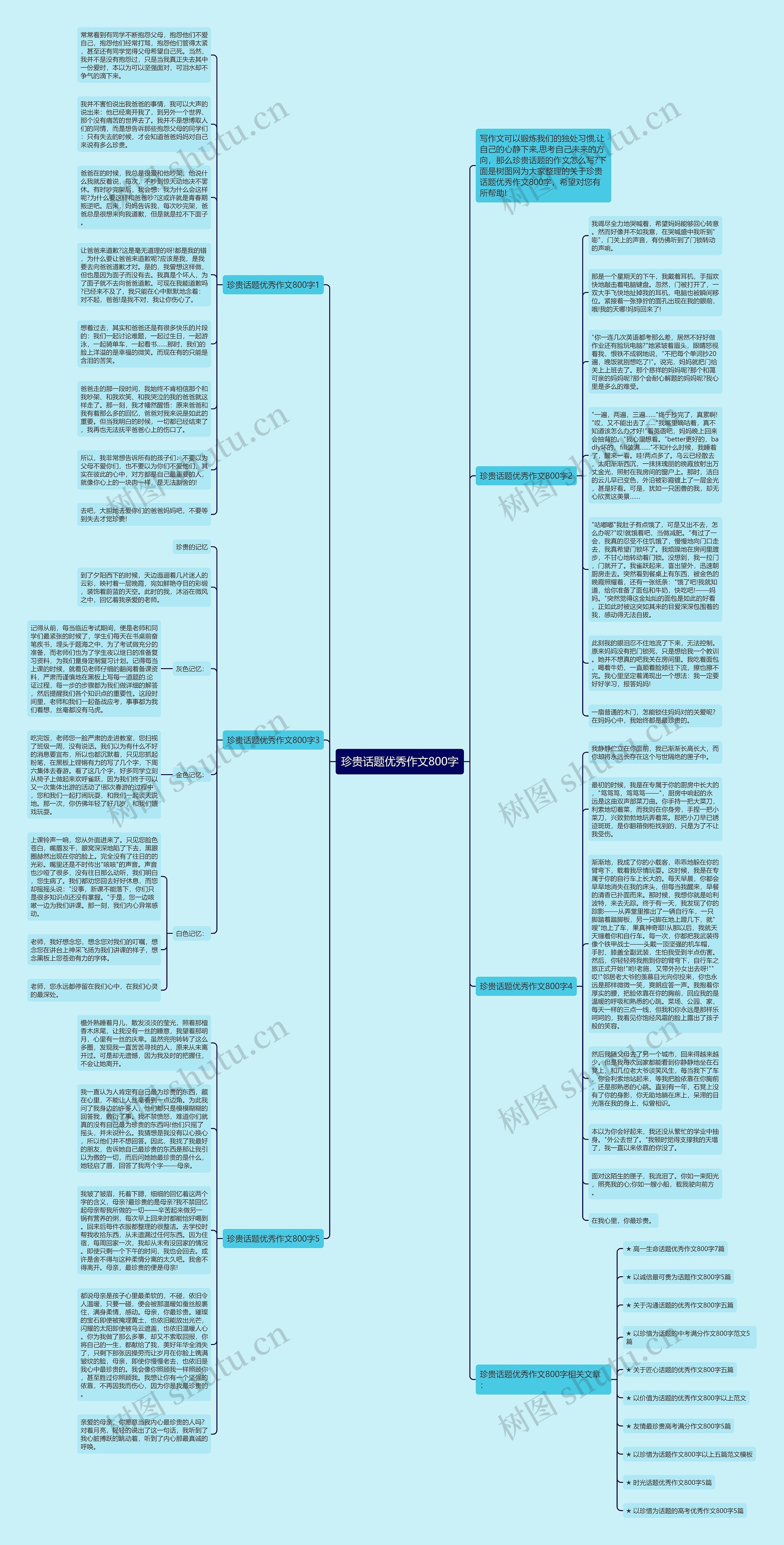 珍贵话题优秀作文800字思维导图