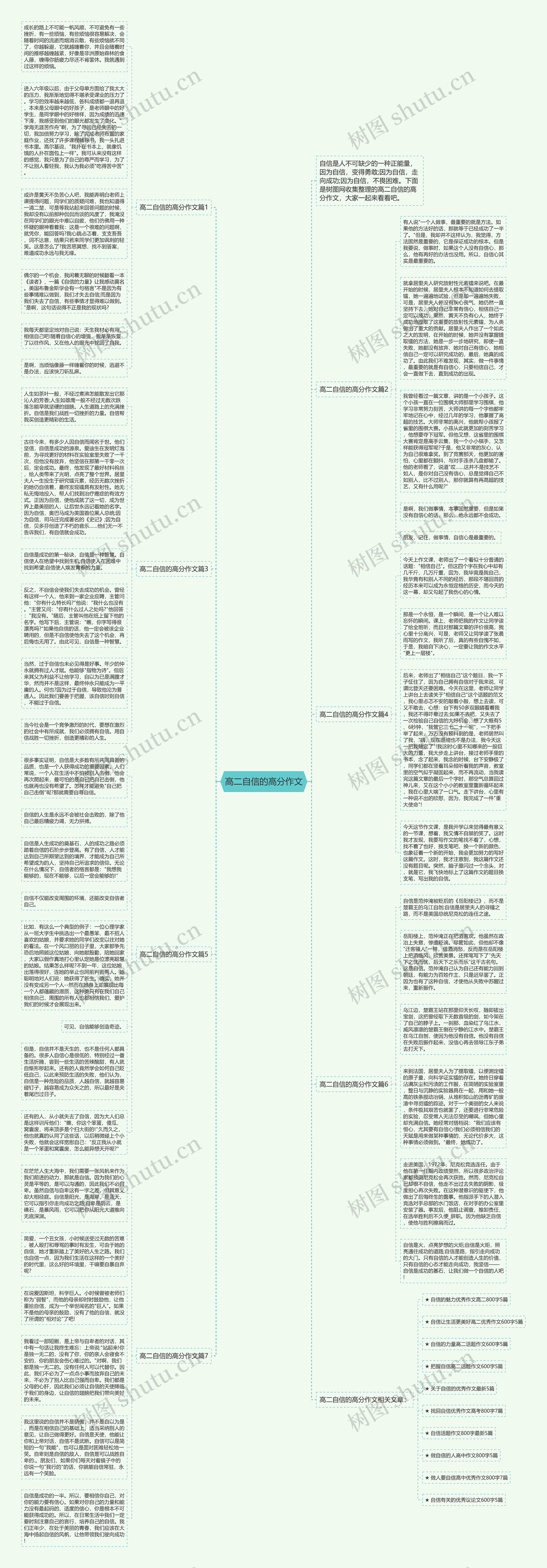 高二自信的高分作文思维导图
