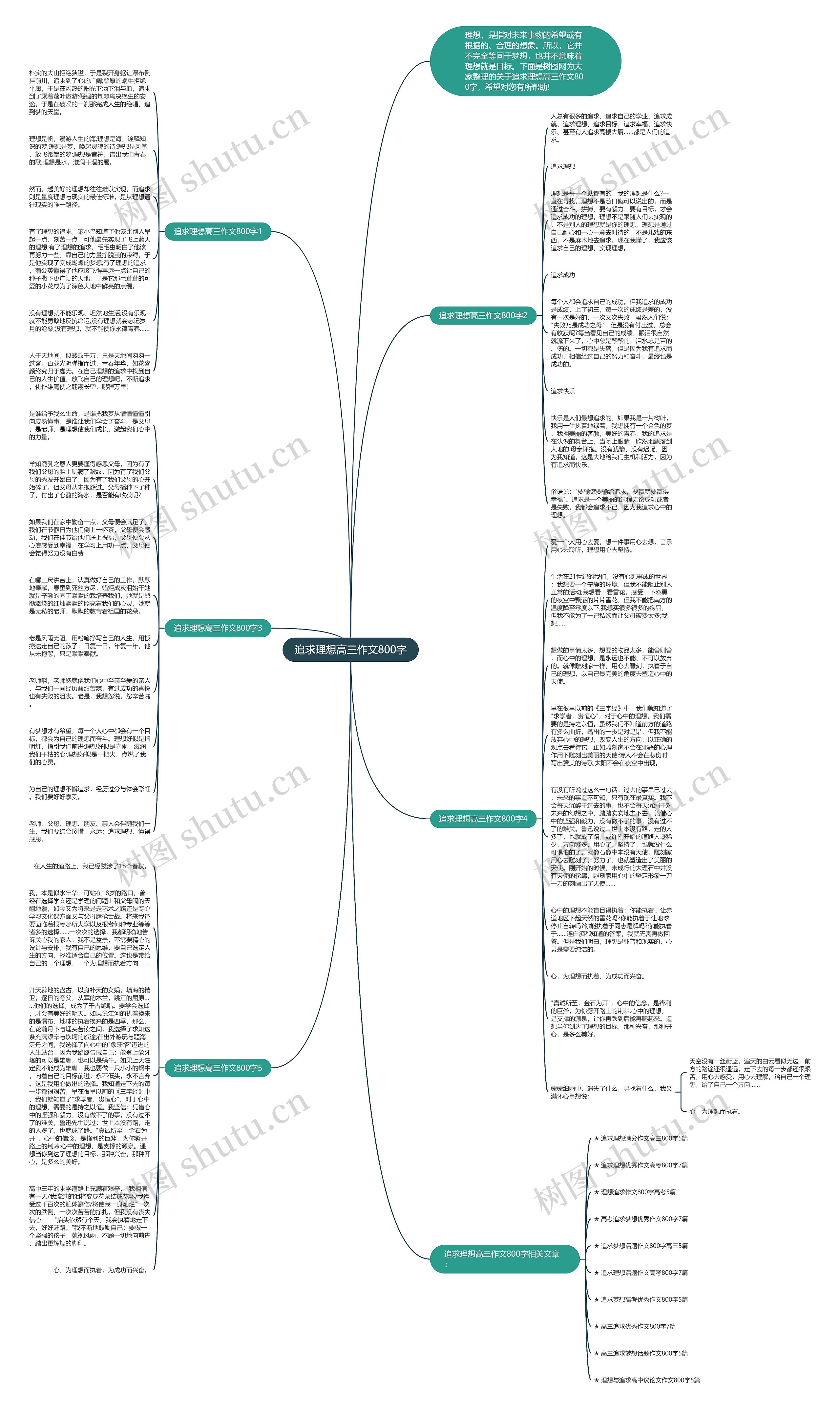 追求理想高三作文800字思维导图