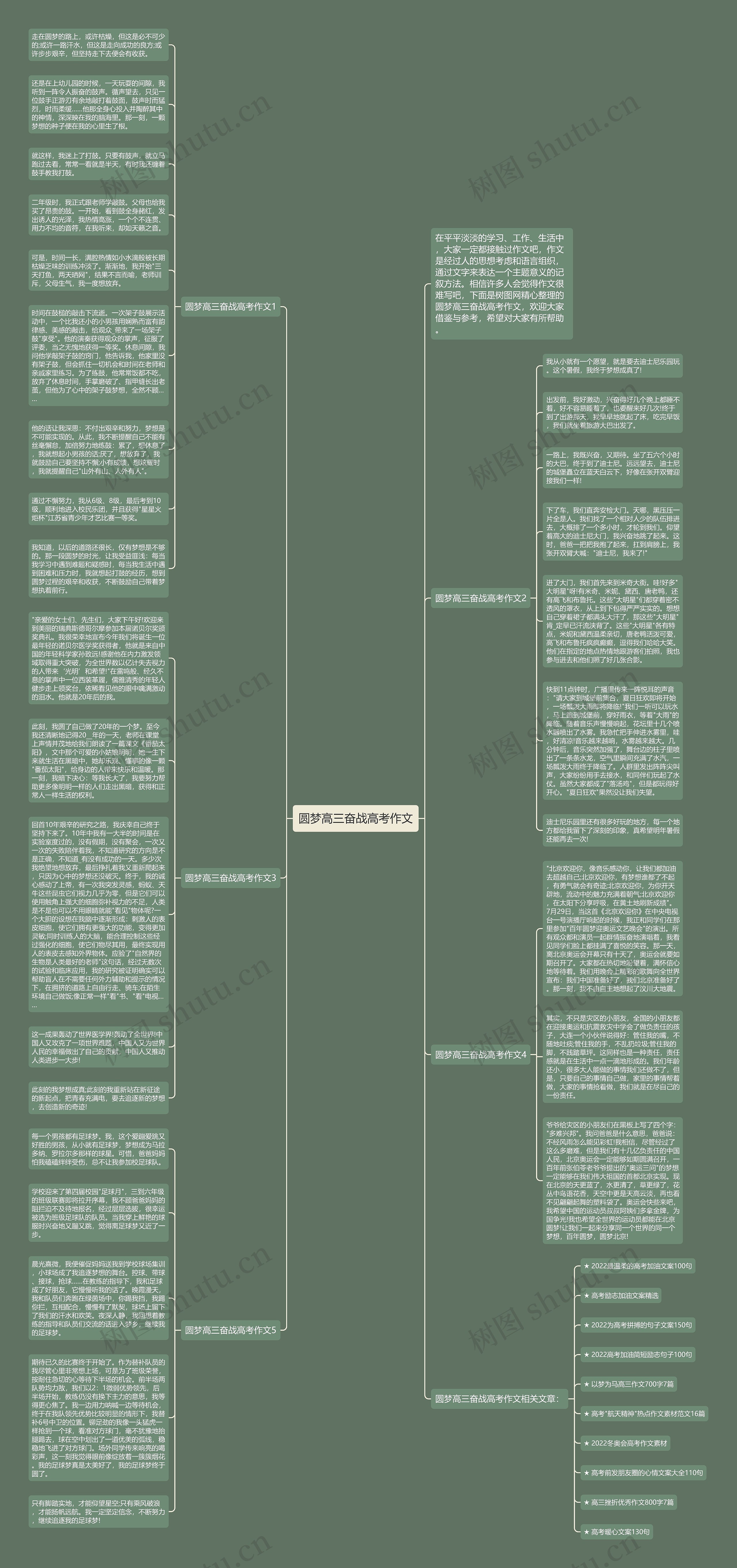圆梦高三奋战高考作文思维导图