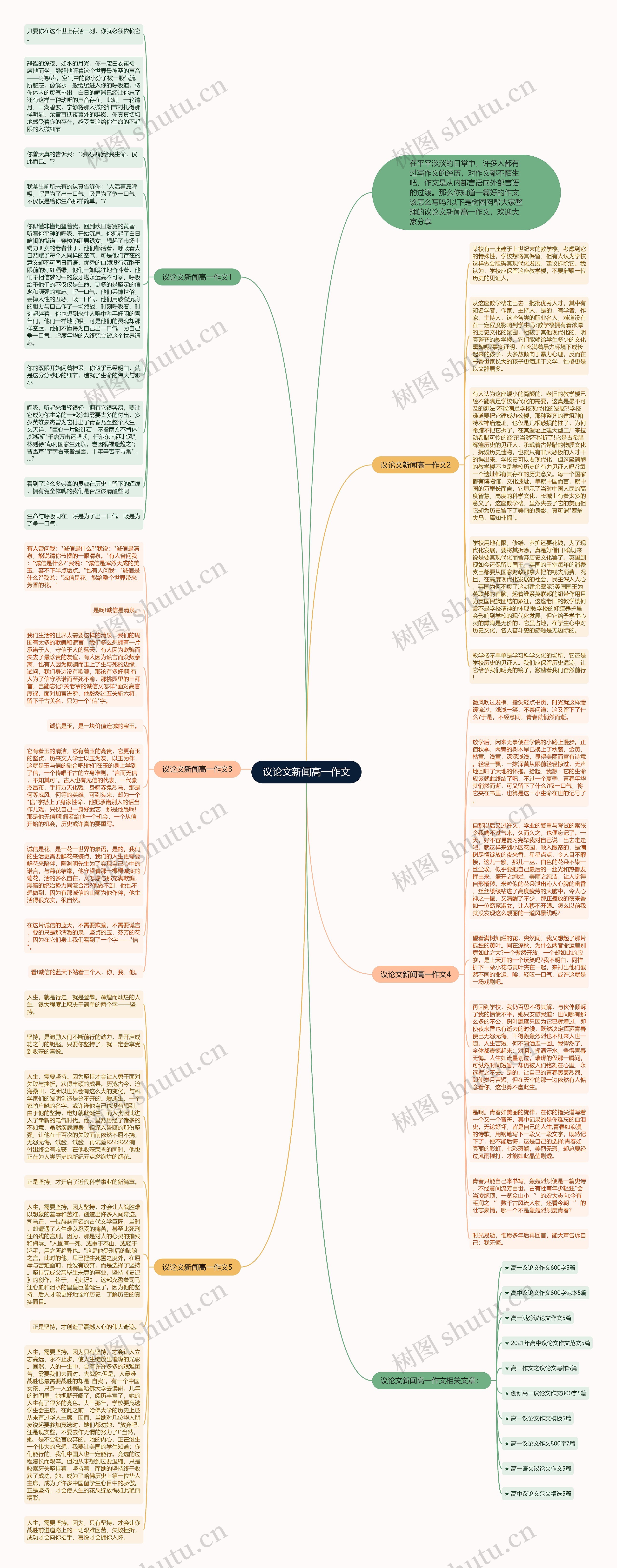 议论文新闻高一作文思维导图