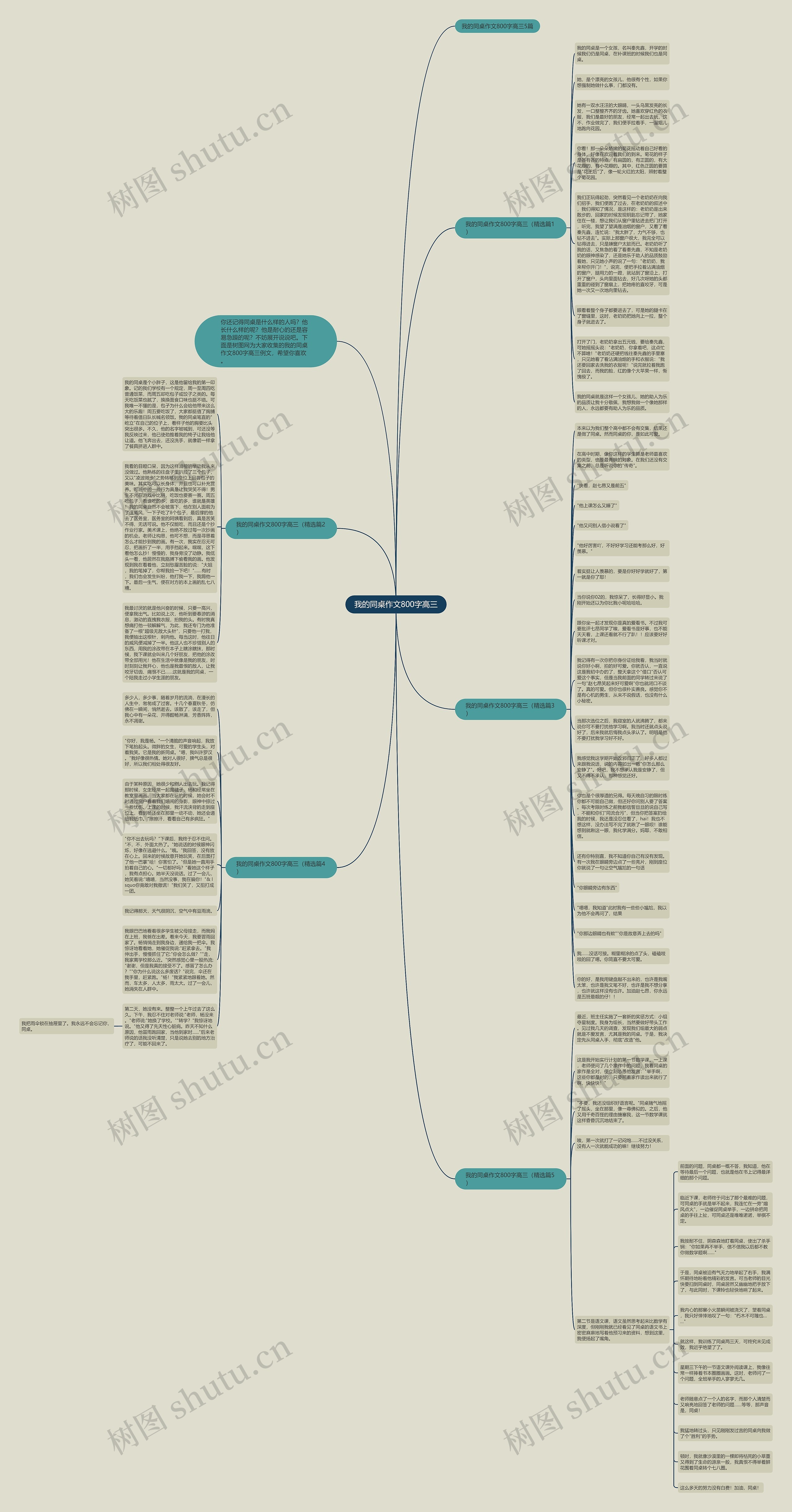 我的同桌作文800字高三思维导图