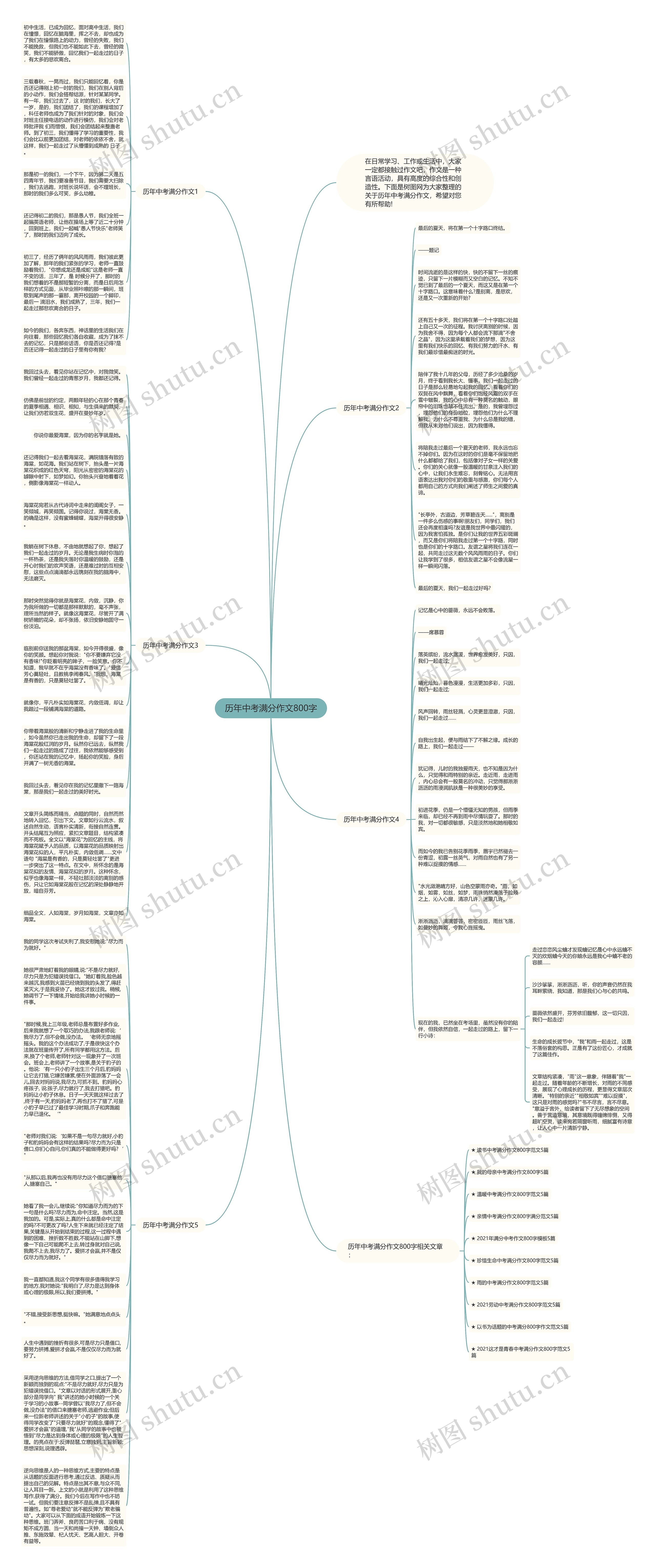 历年中考满分作文800字思维导图