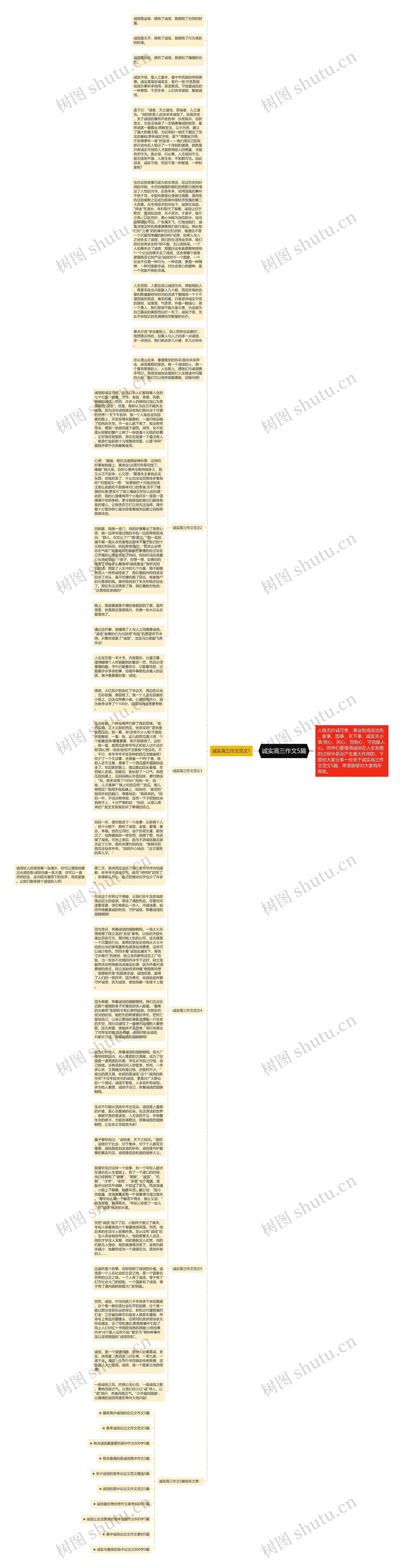 诚实高三作文5篇思维导图