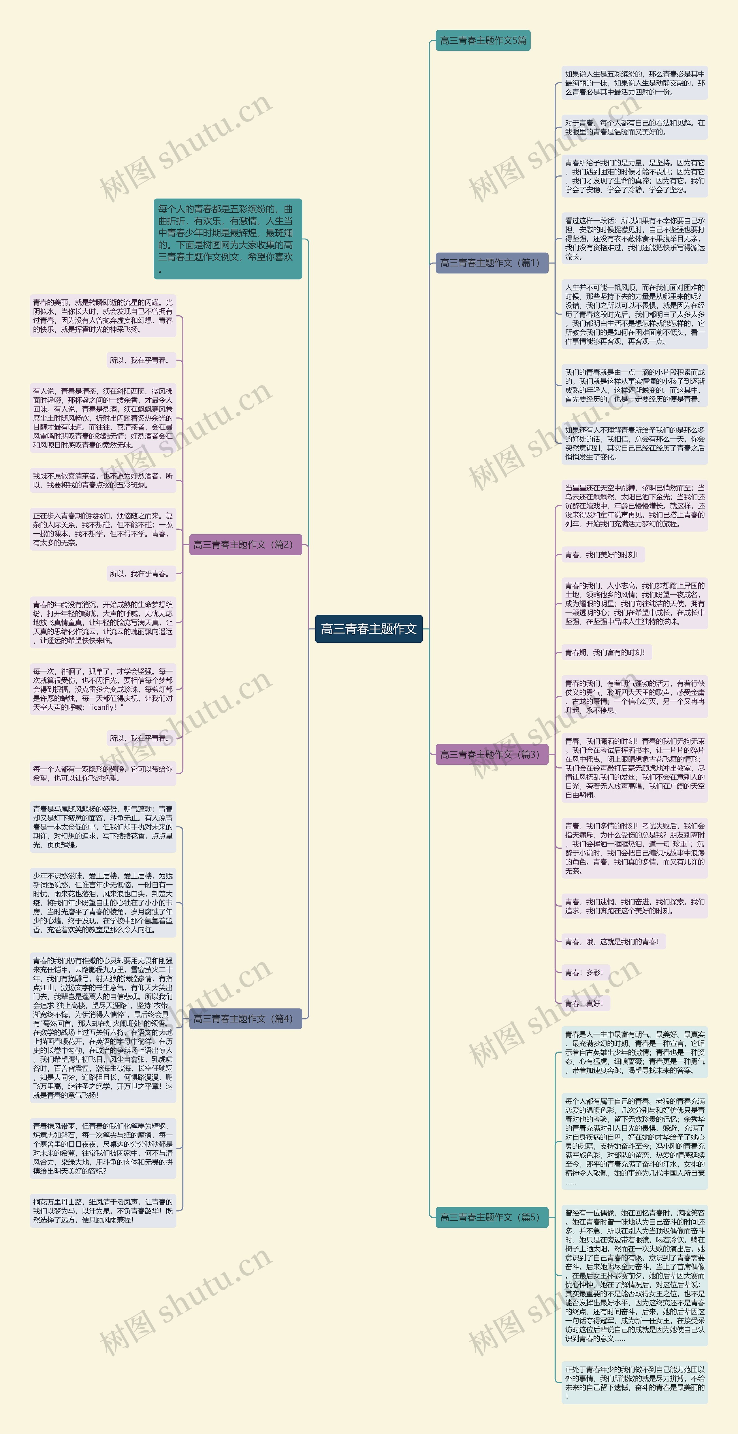 高三青春主题作文思维导图