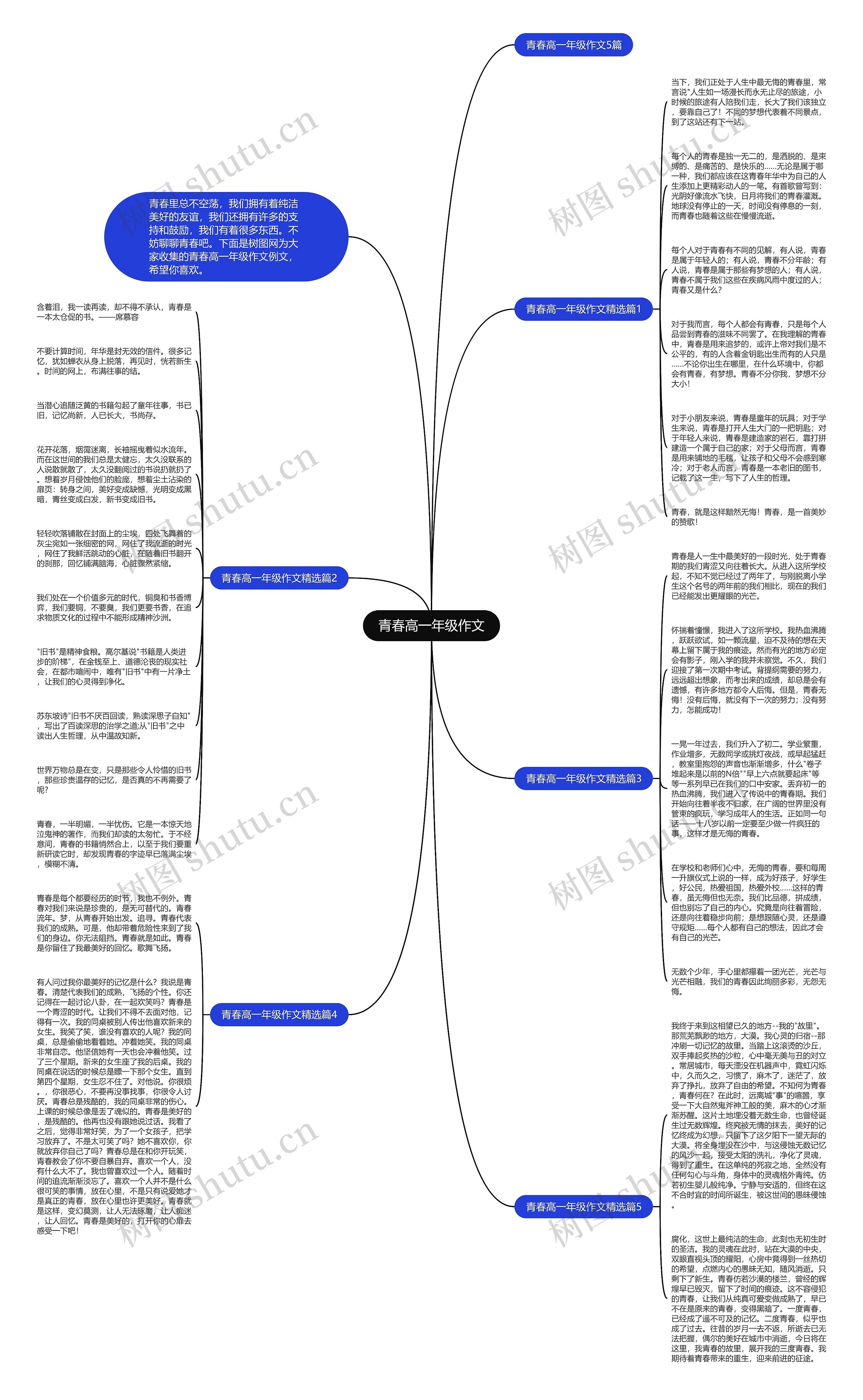 青春高一年级作文思维导图