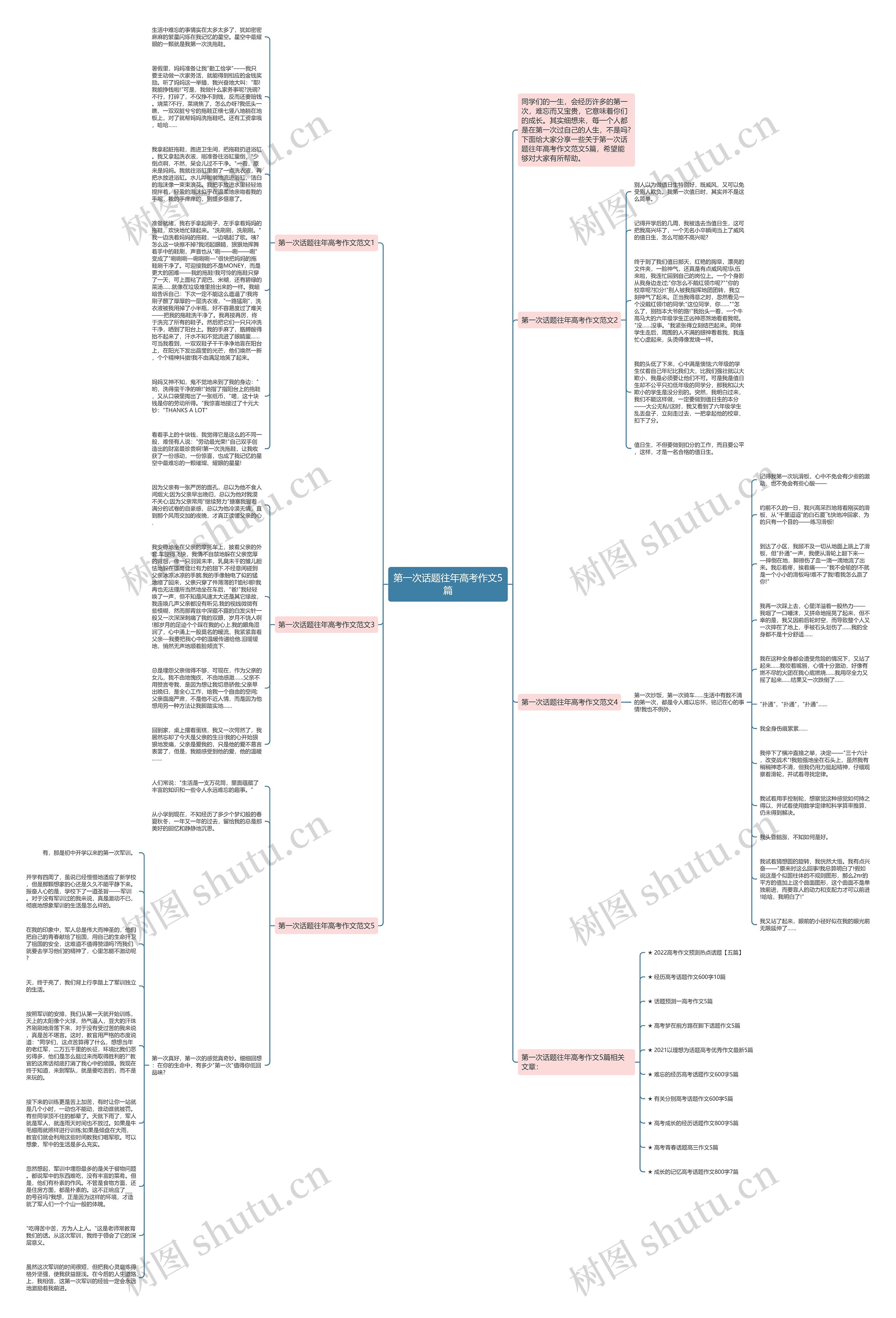 第一次话题往年高考作文5篇思维导图