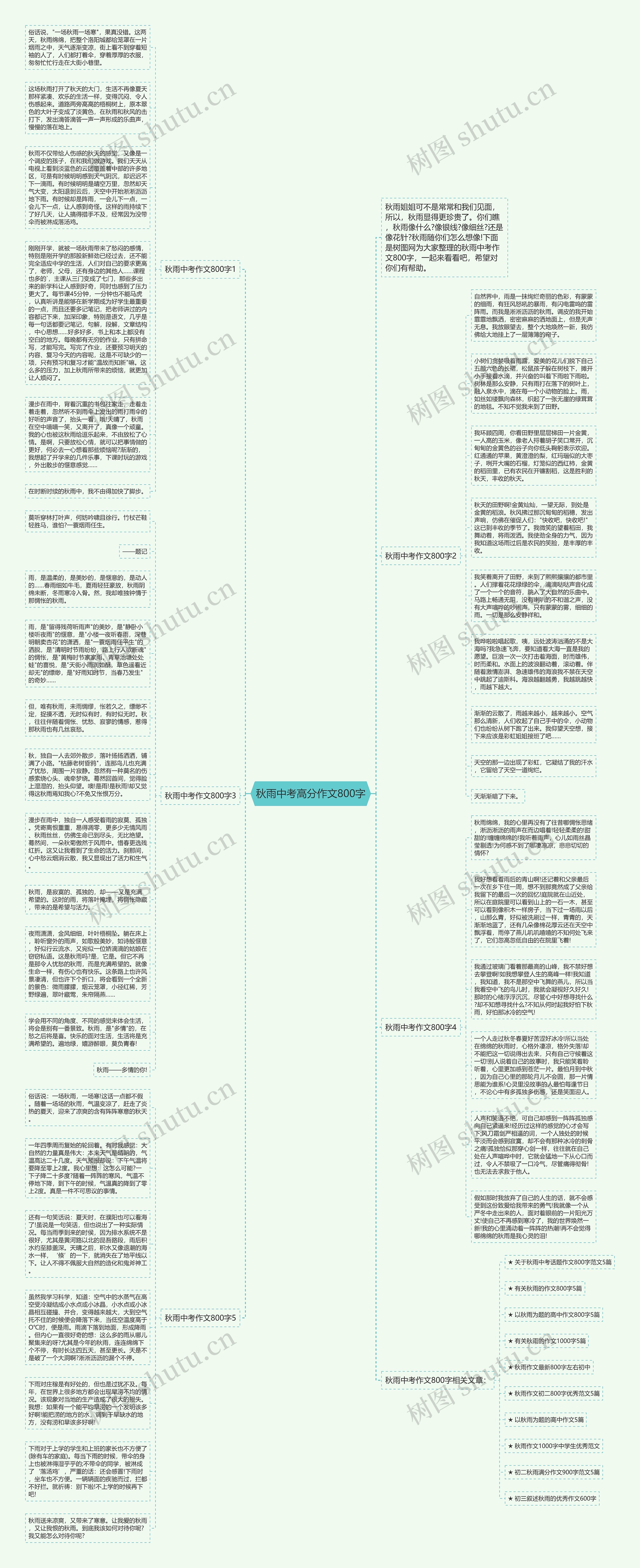 秋雨中考高分作文800字思维导图