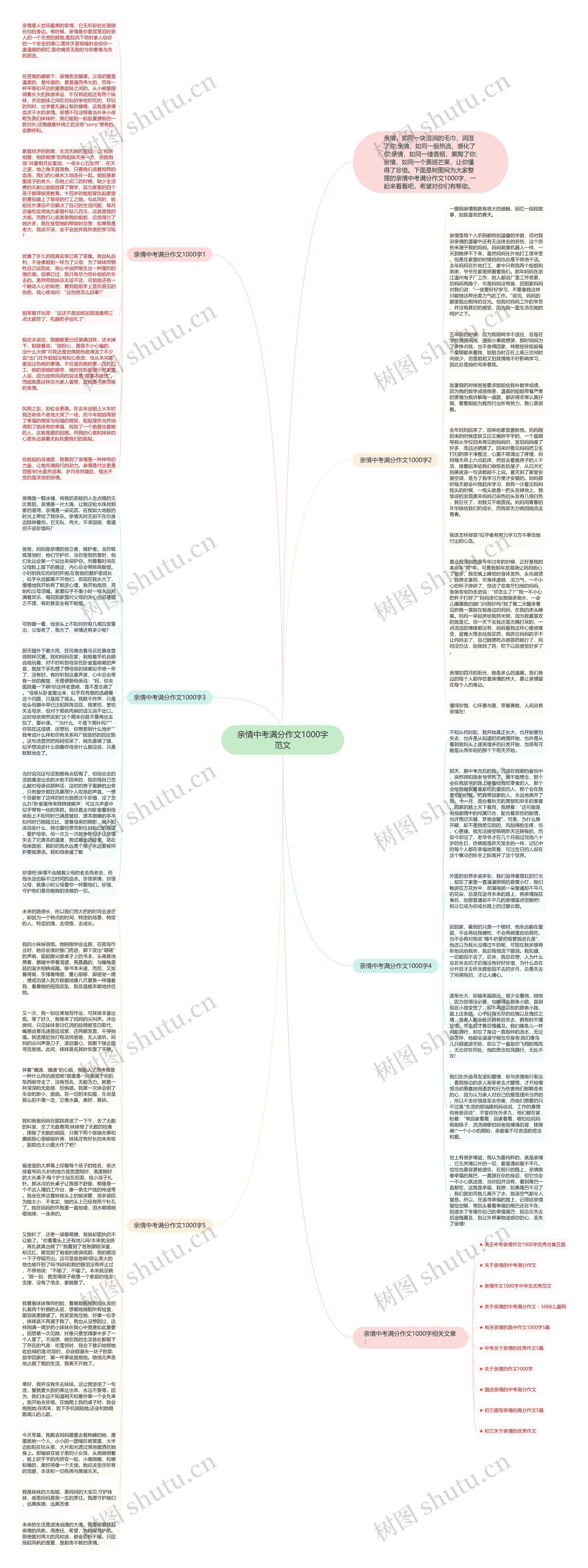 亲情中考满分作文1000字范文思维导图