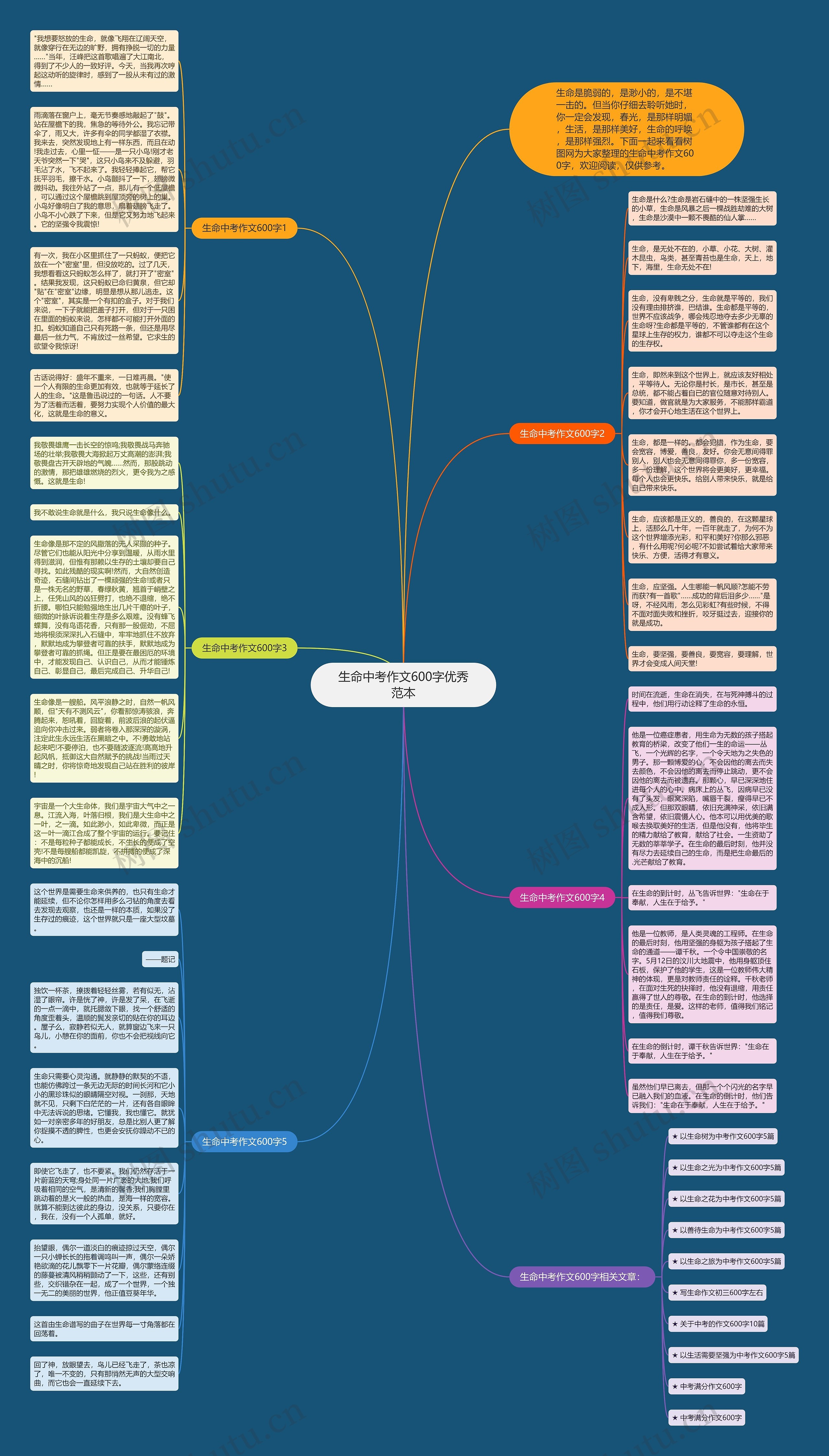 生命中考作文600字优秀范本思维导图