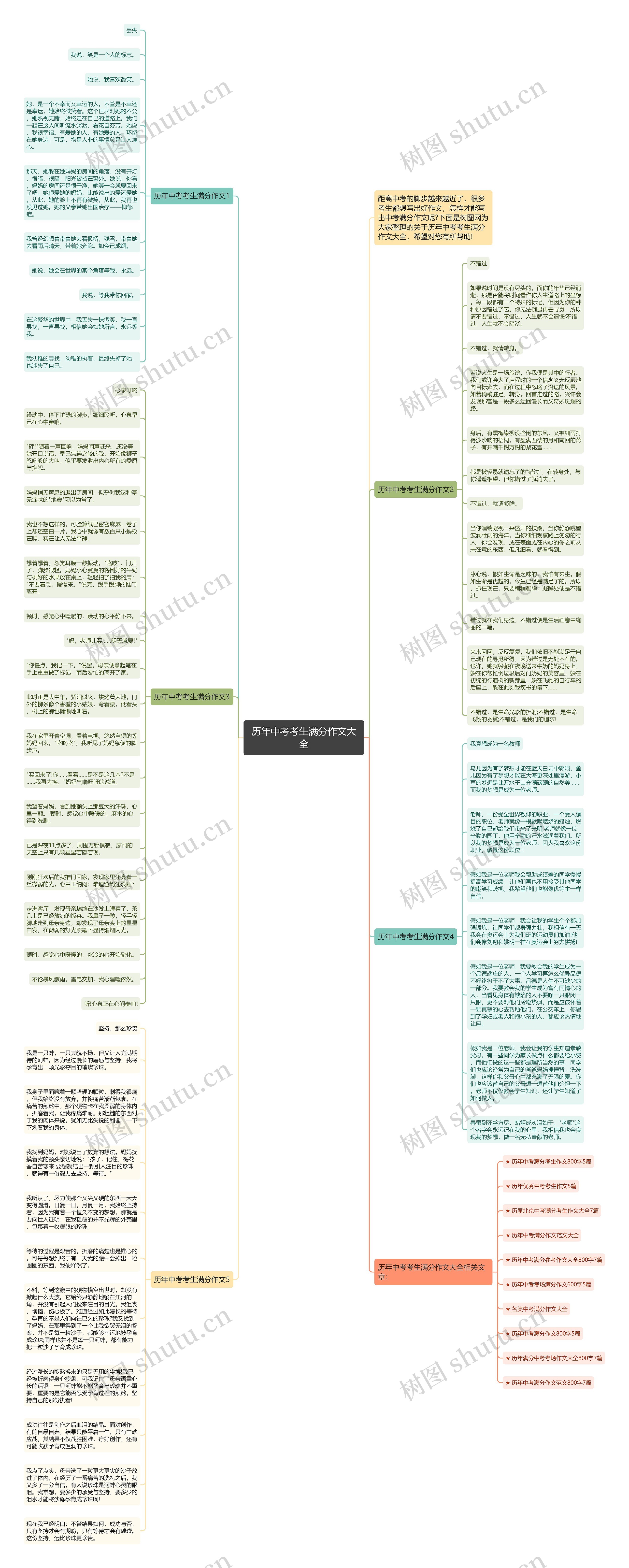 历年中考考生满分作文大全思维导图