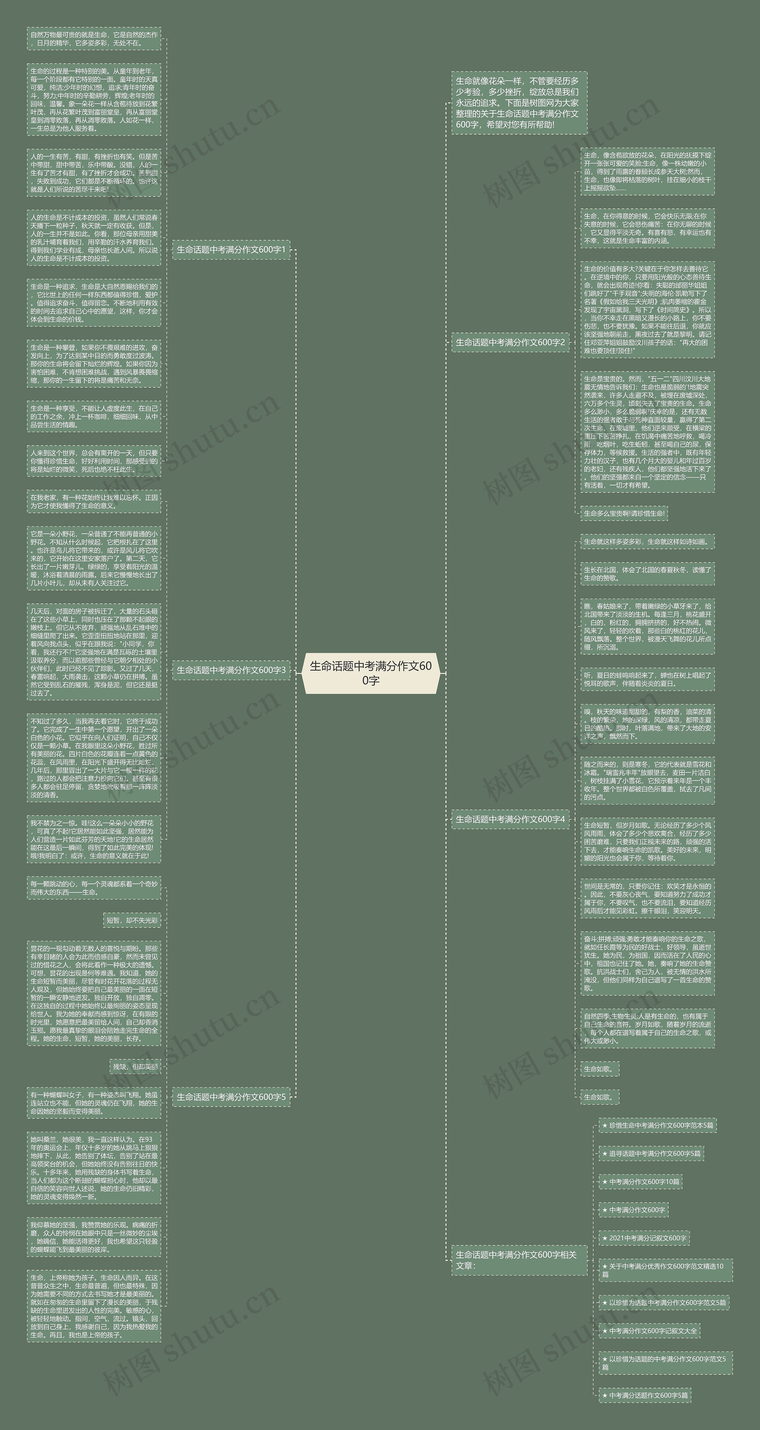 生命话题中考满分作文600字思维导图