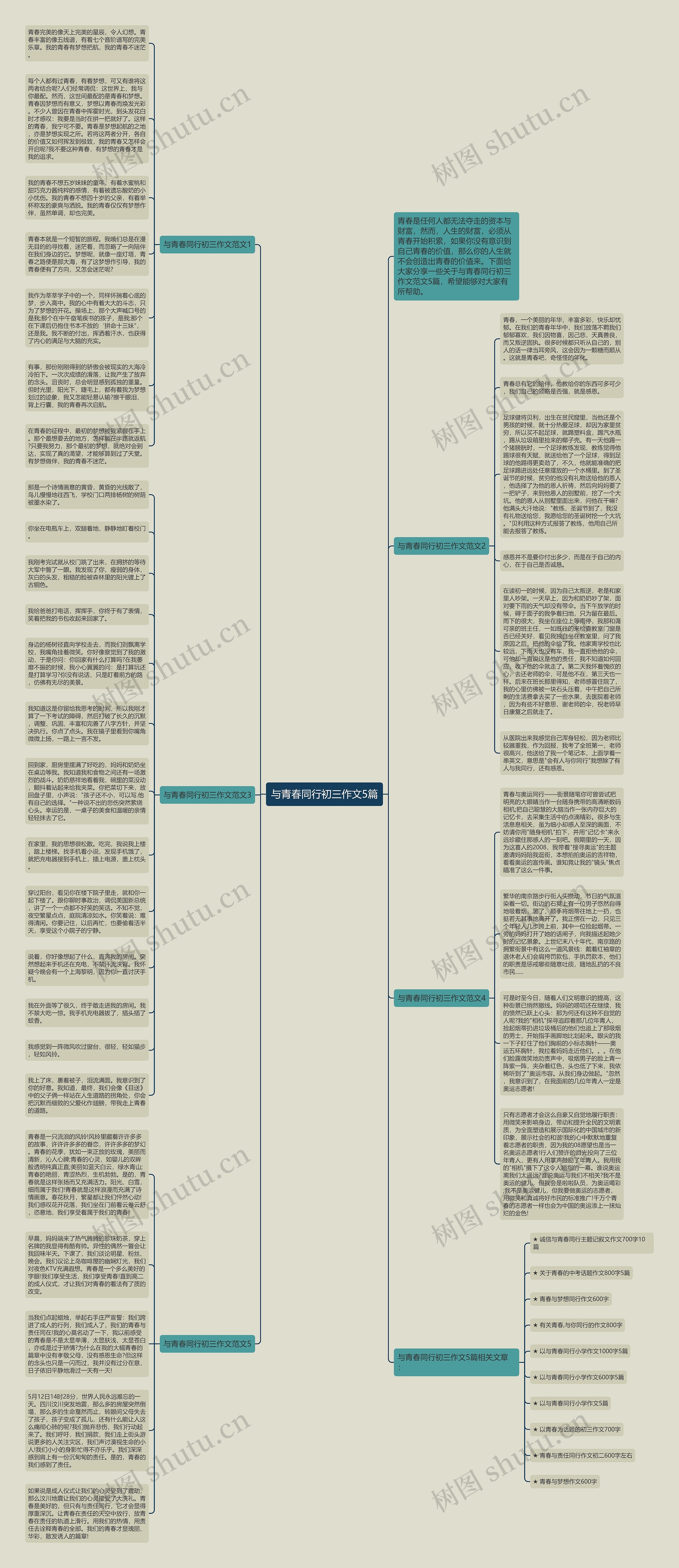 与青春同行初三作文5篇思维导图