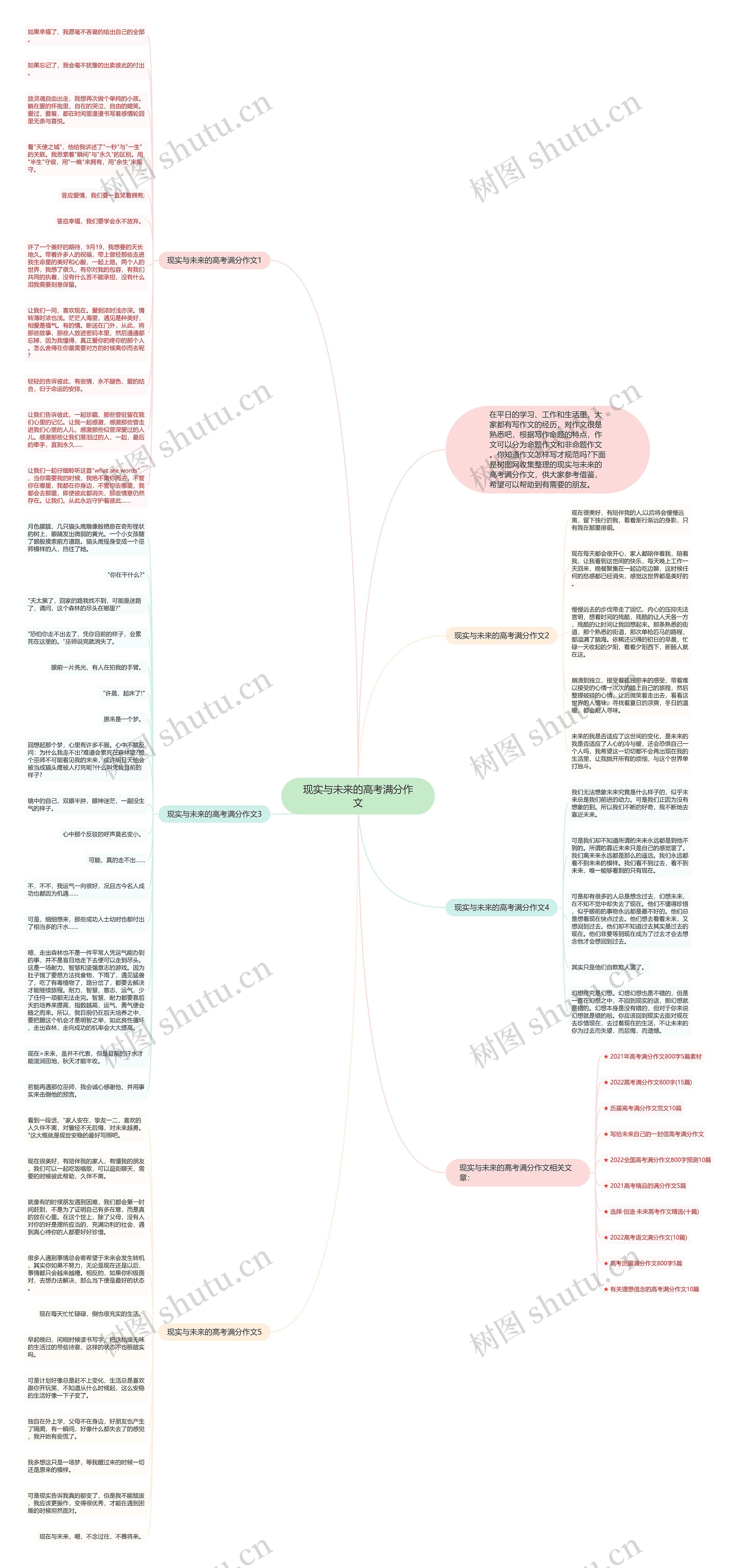 现实与未来的高考满分作文思维导图