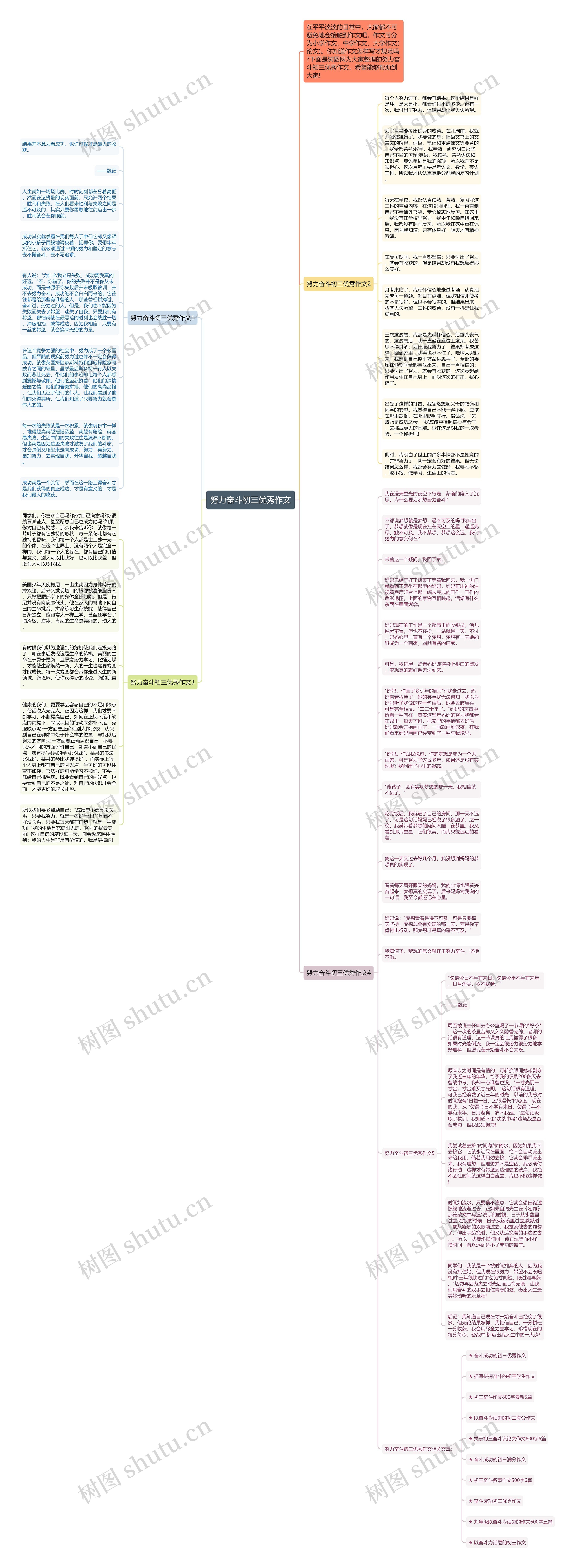努力奋斗初三优秀作文思维导图