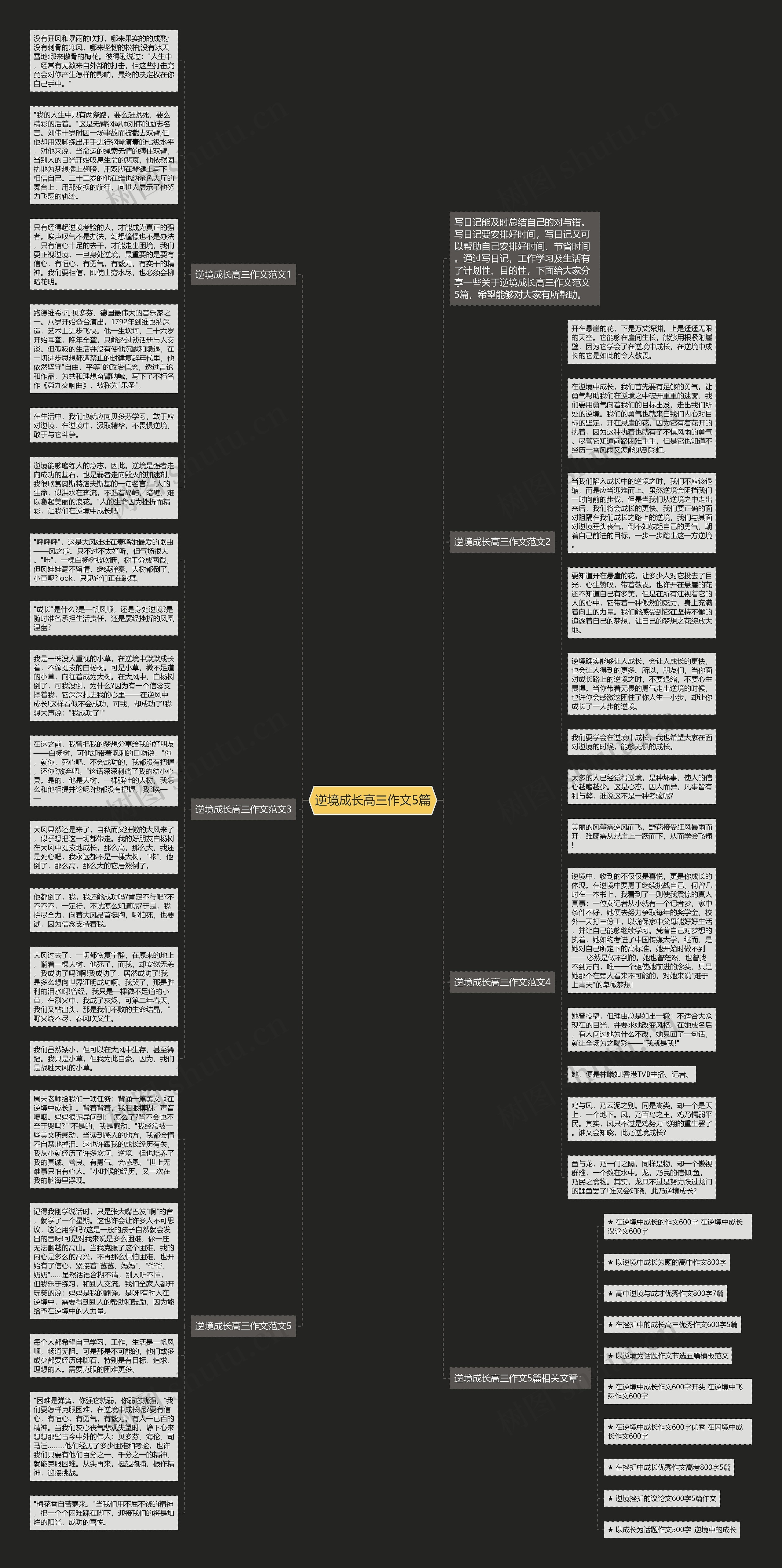 逆境成长高三作文5篇思维导图