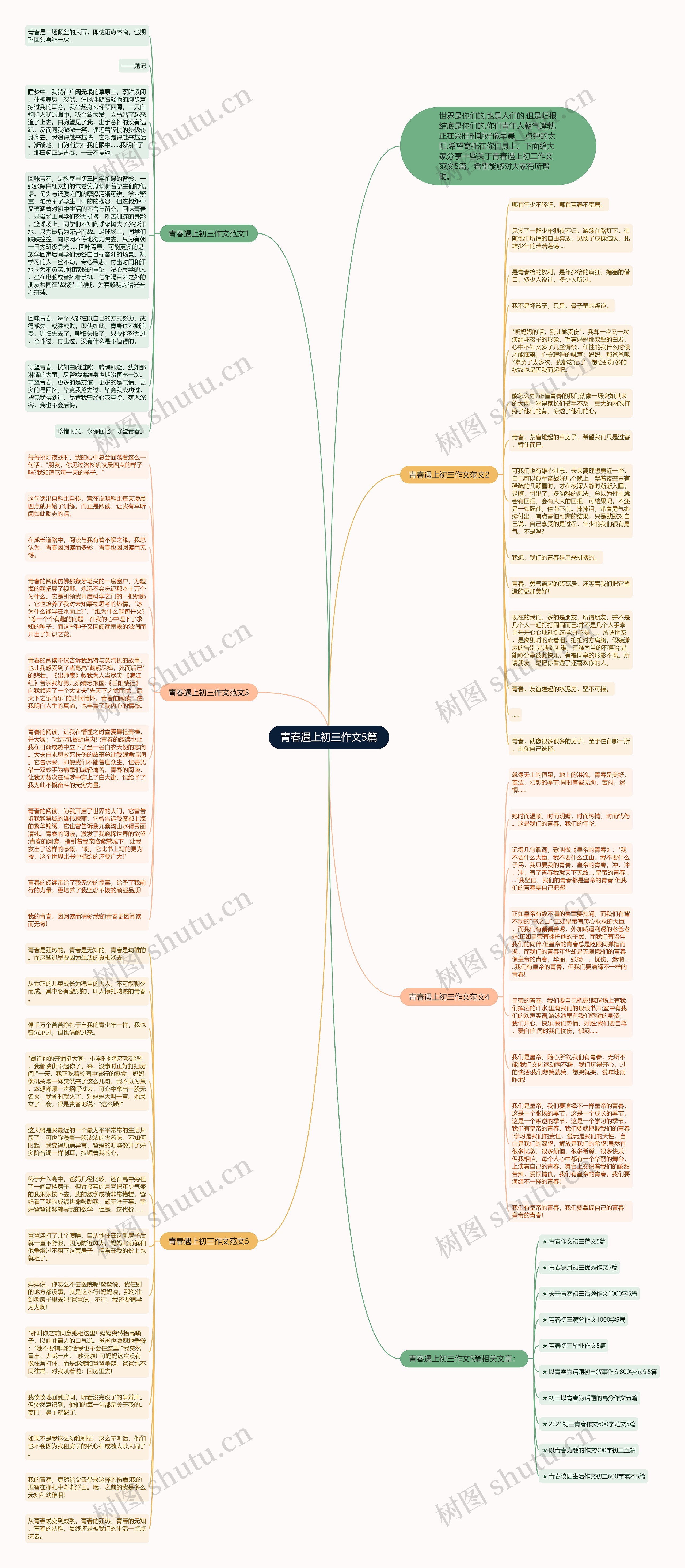 青春遇上初三作文5篇思维导图