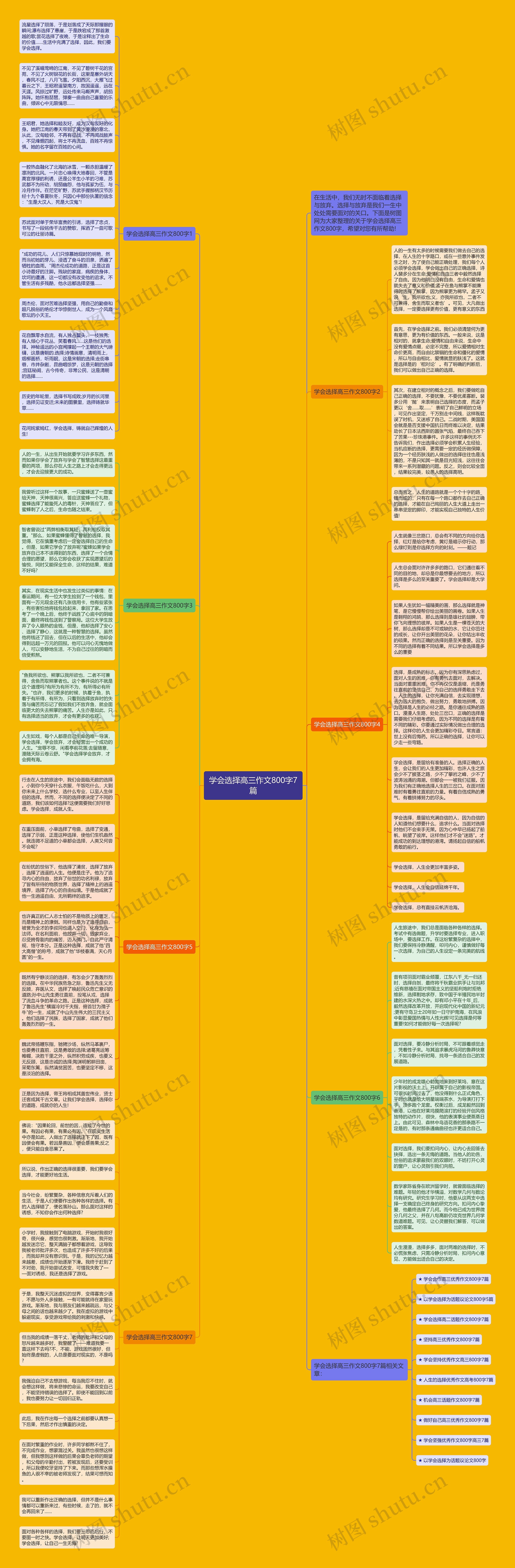 学会选择高三作文800字7篇思维导图