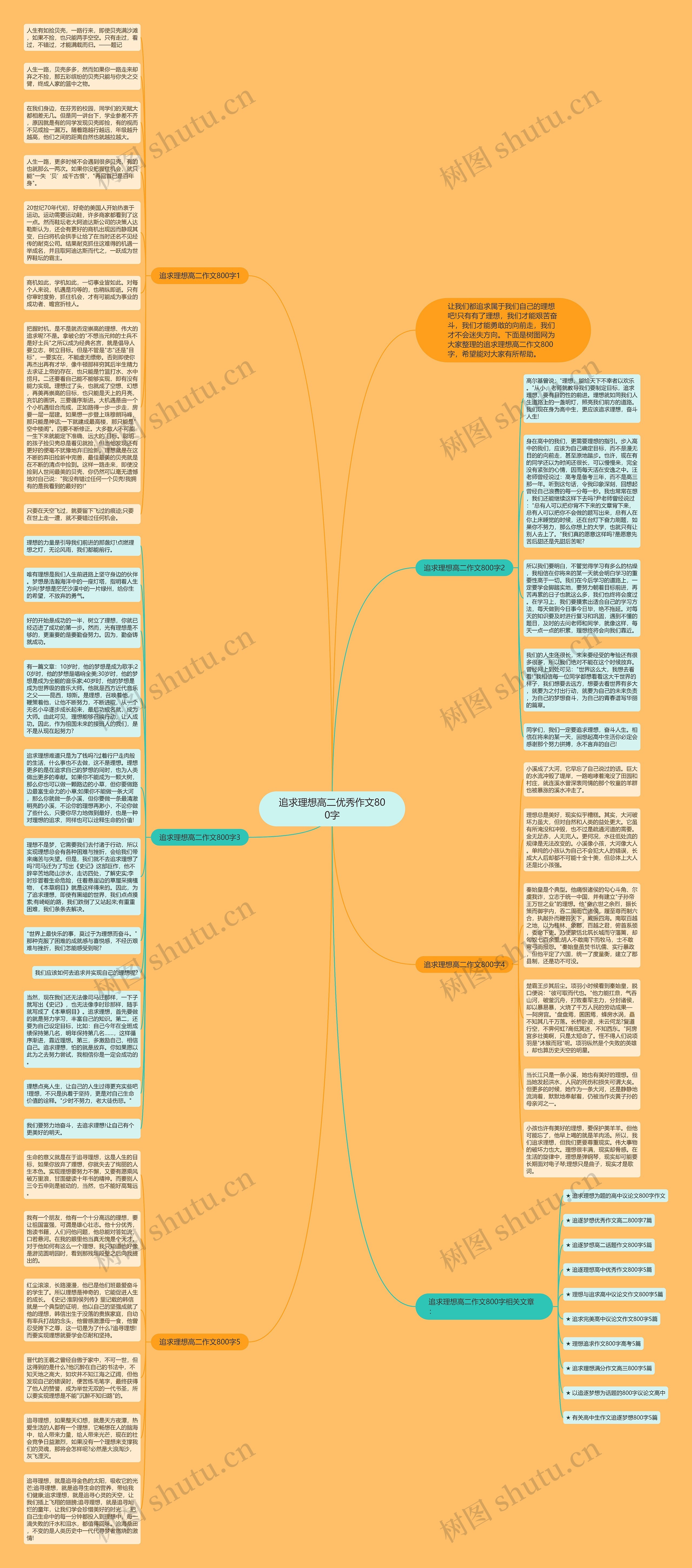 追求理想高二优秀作文800字思维导图