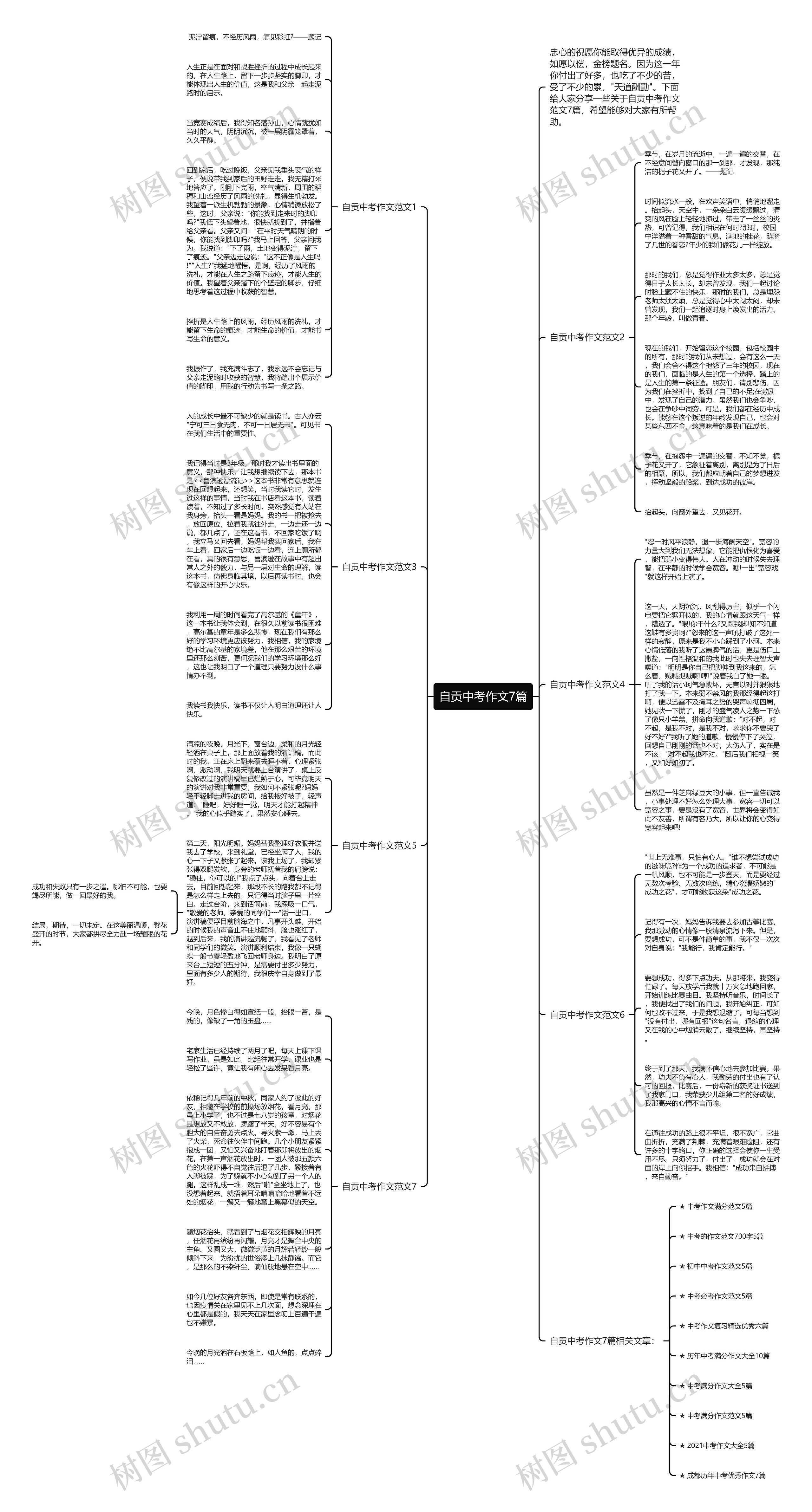 自贡中考作文7篇思维导图