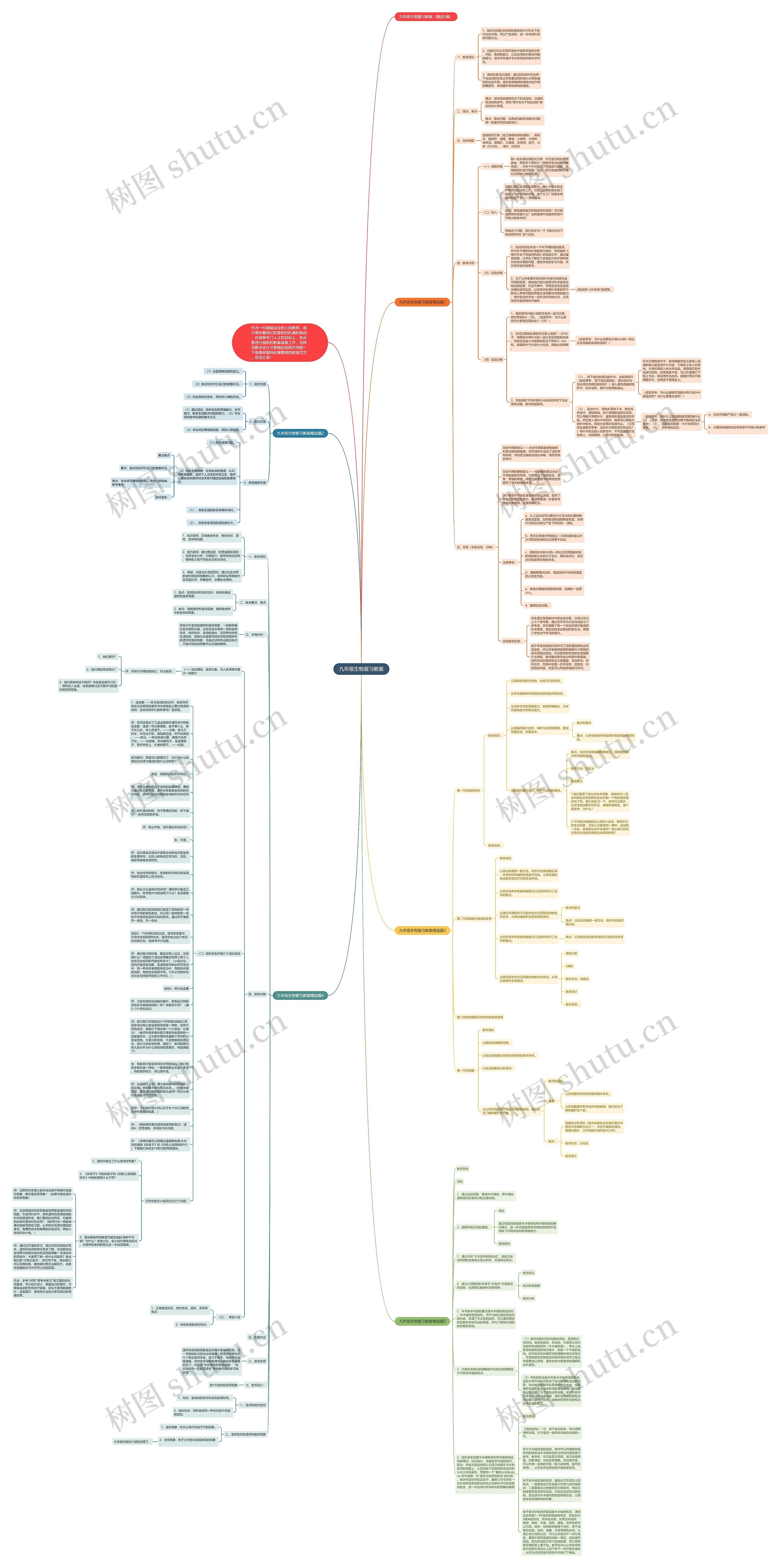 九年级生物复习教案思维导图