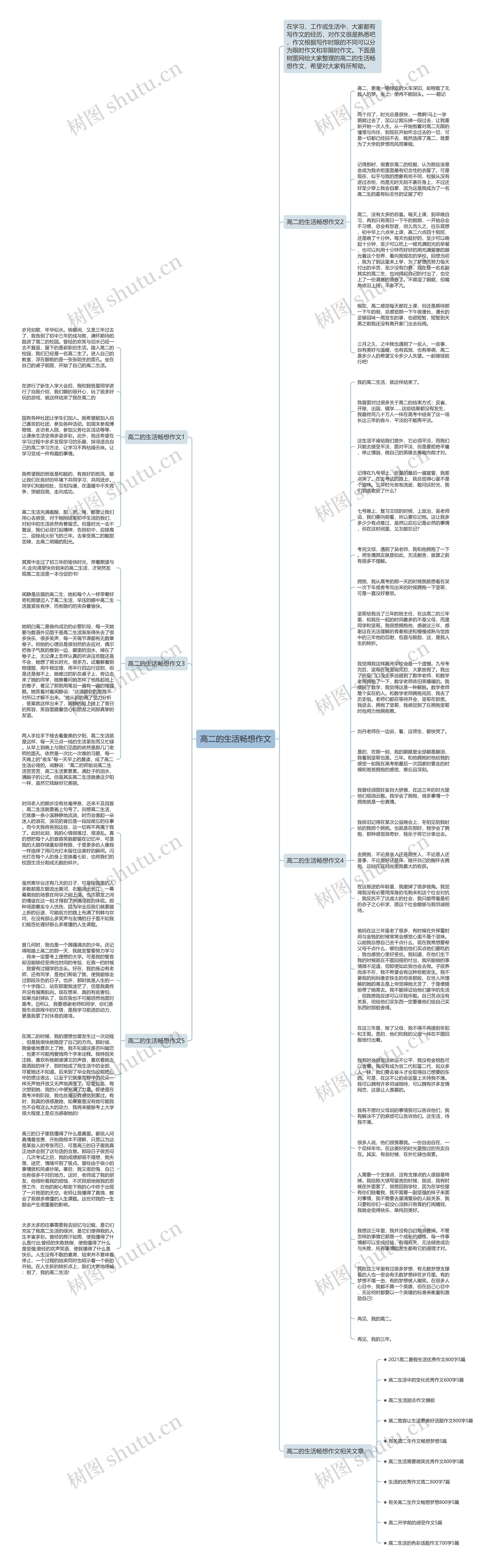 高二的生活畅想作文思维导图