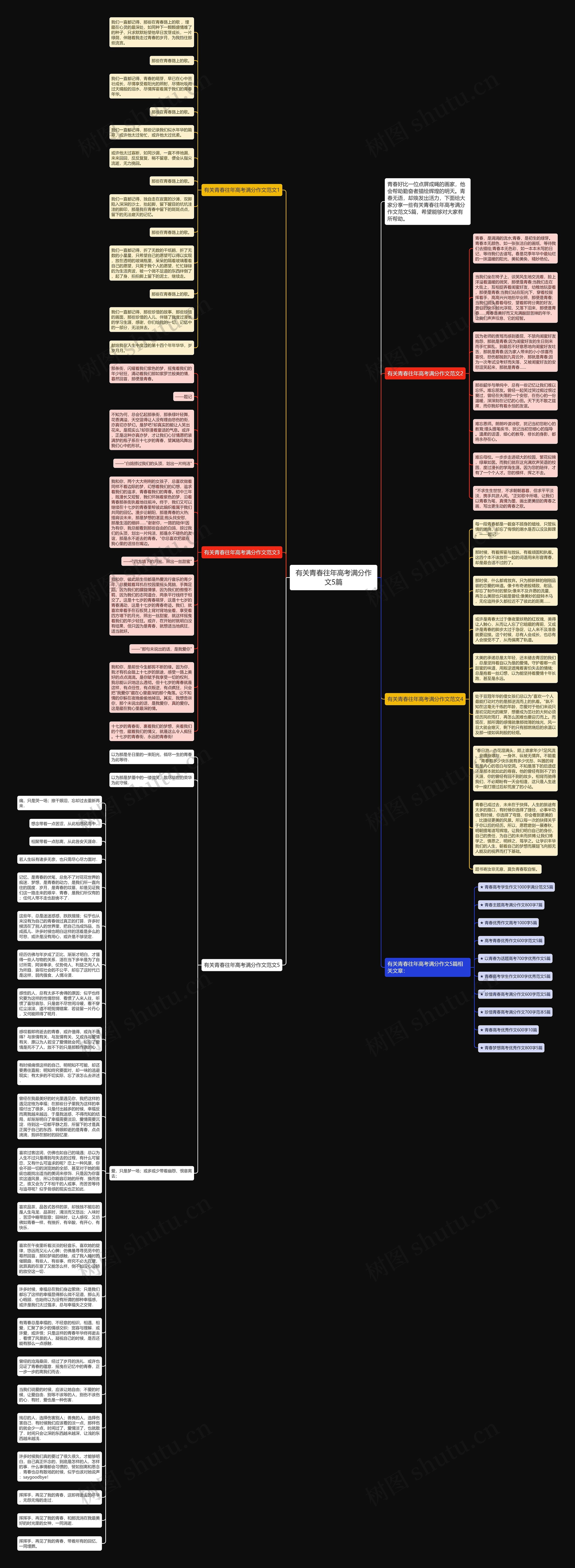 有关青春往年高考满分作文5篇思维导图